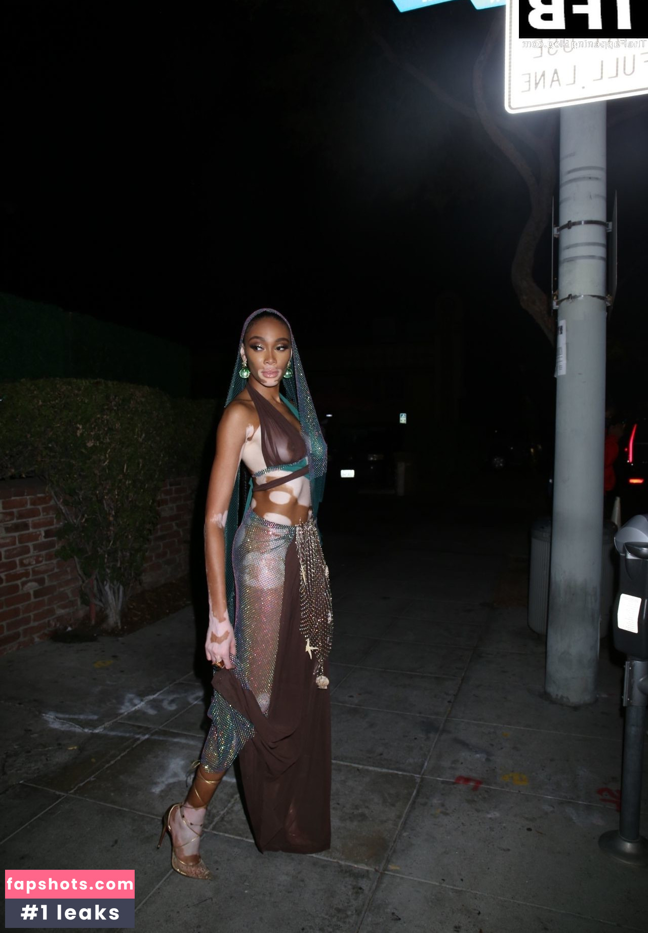 Winnie Harlow Nude Leaks OnlyFans Photos #406 - LeakJerk