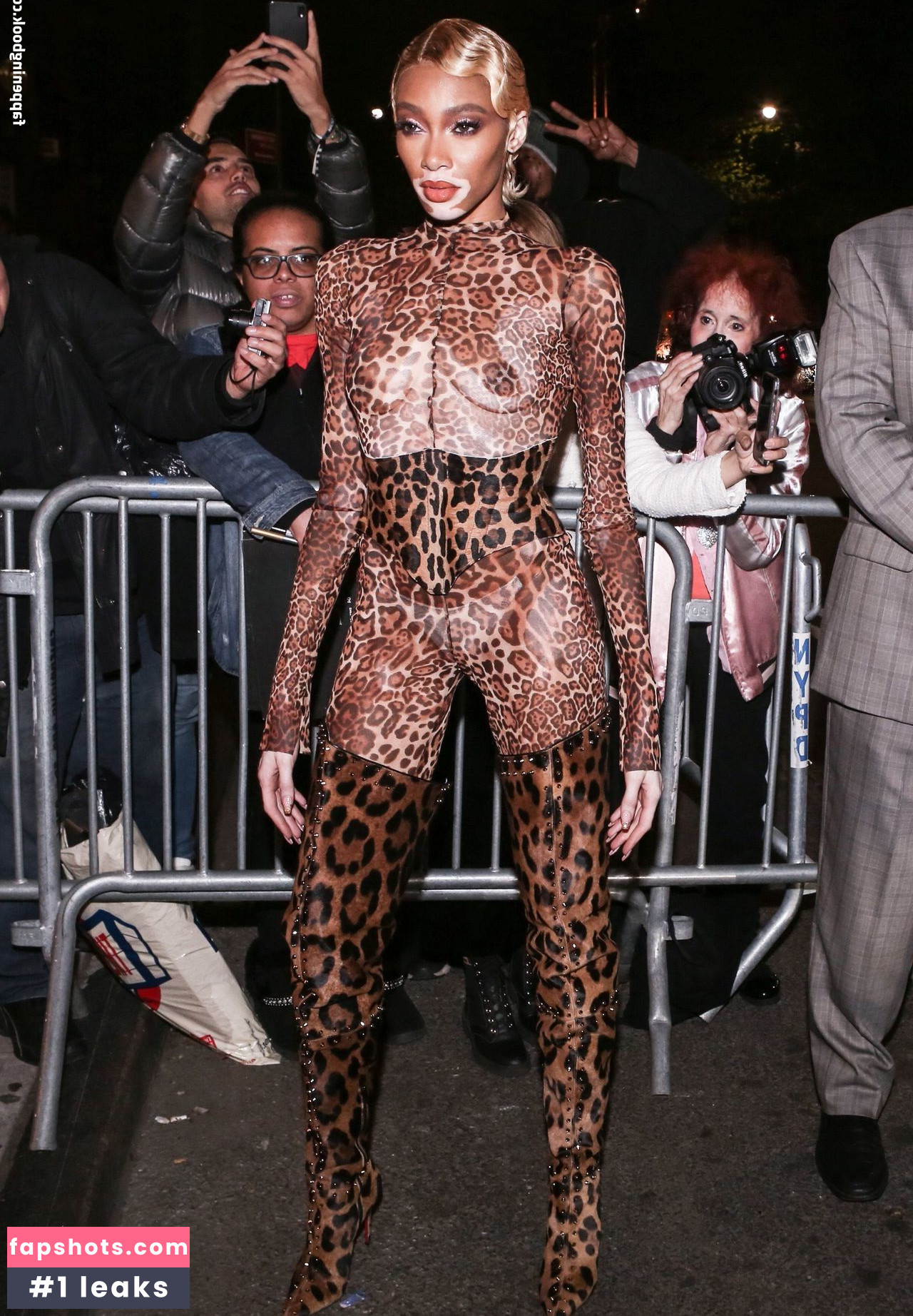 Winnie Harlow Nacktheit OnlyFans Fotos #480 - Fapshots