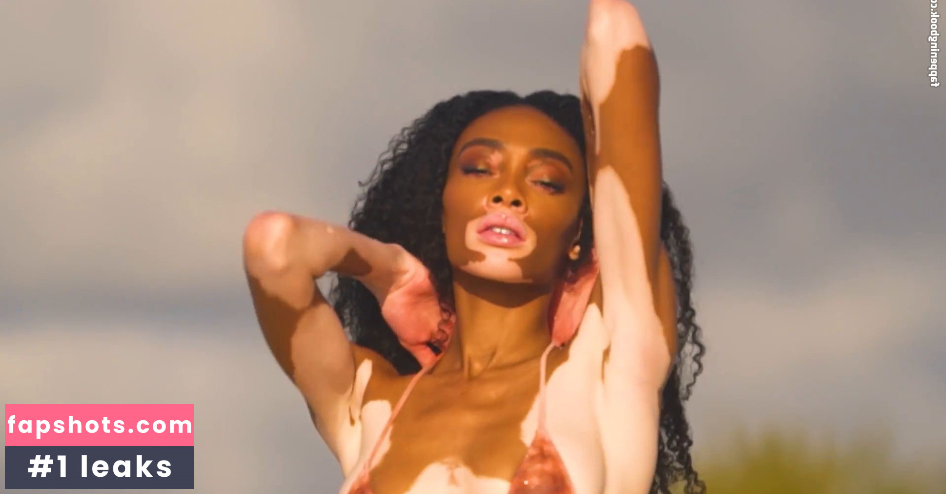 Winnie Harlow Nacktheit OnlyFans Fotos #490 - Fapshots