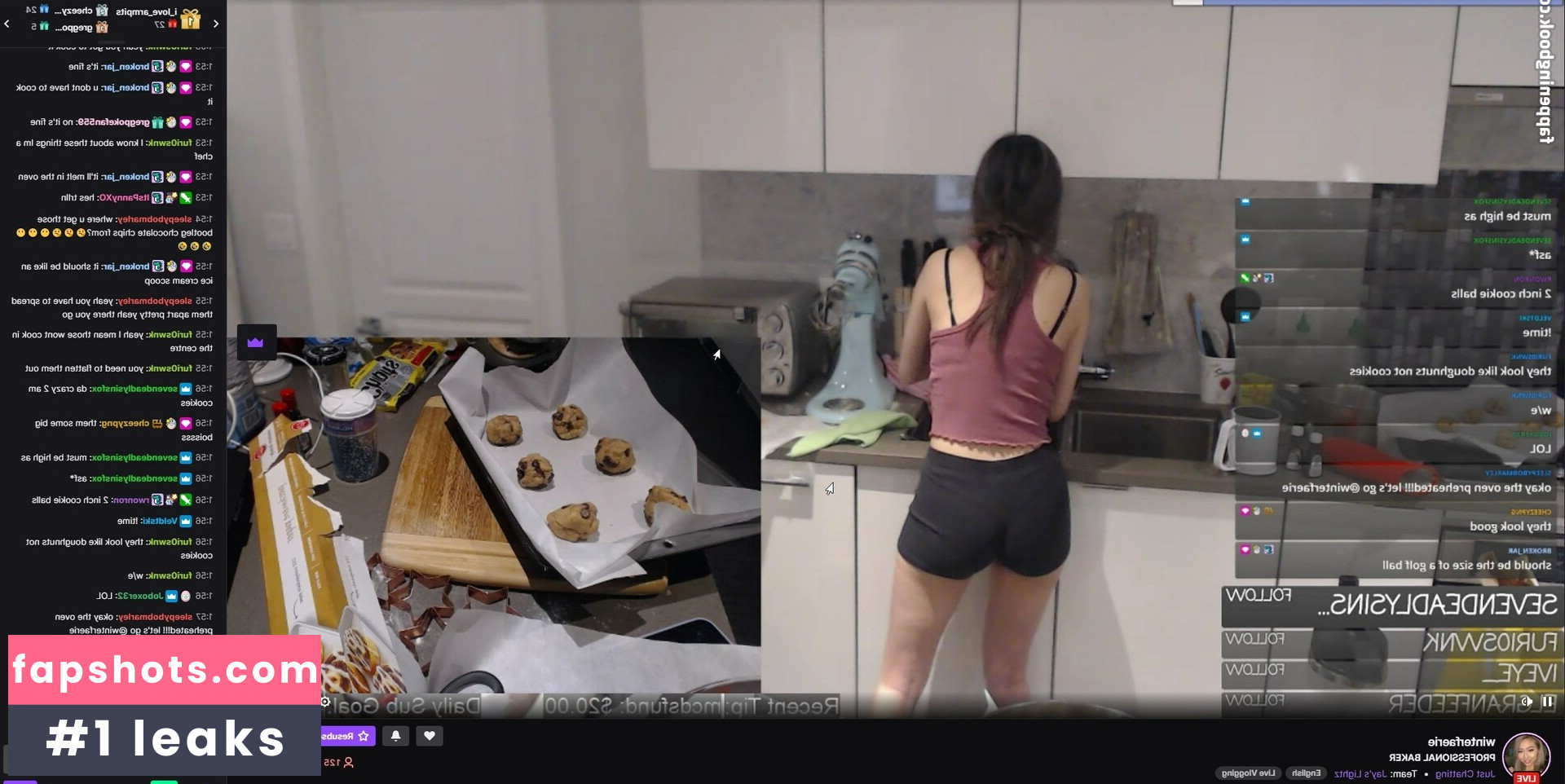 Winterfaerie gallery photo #17