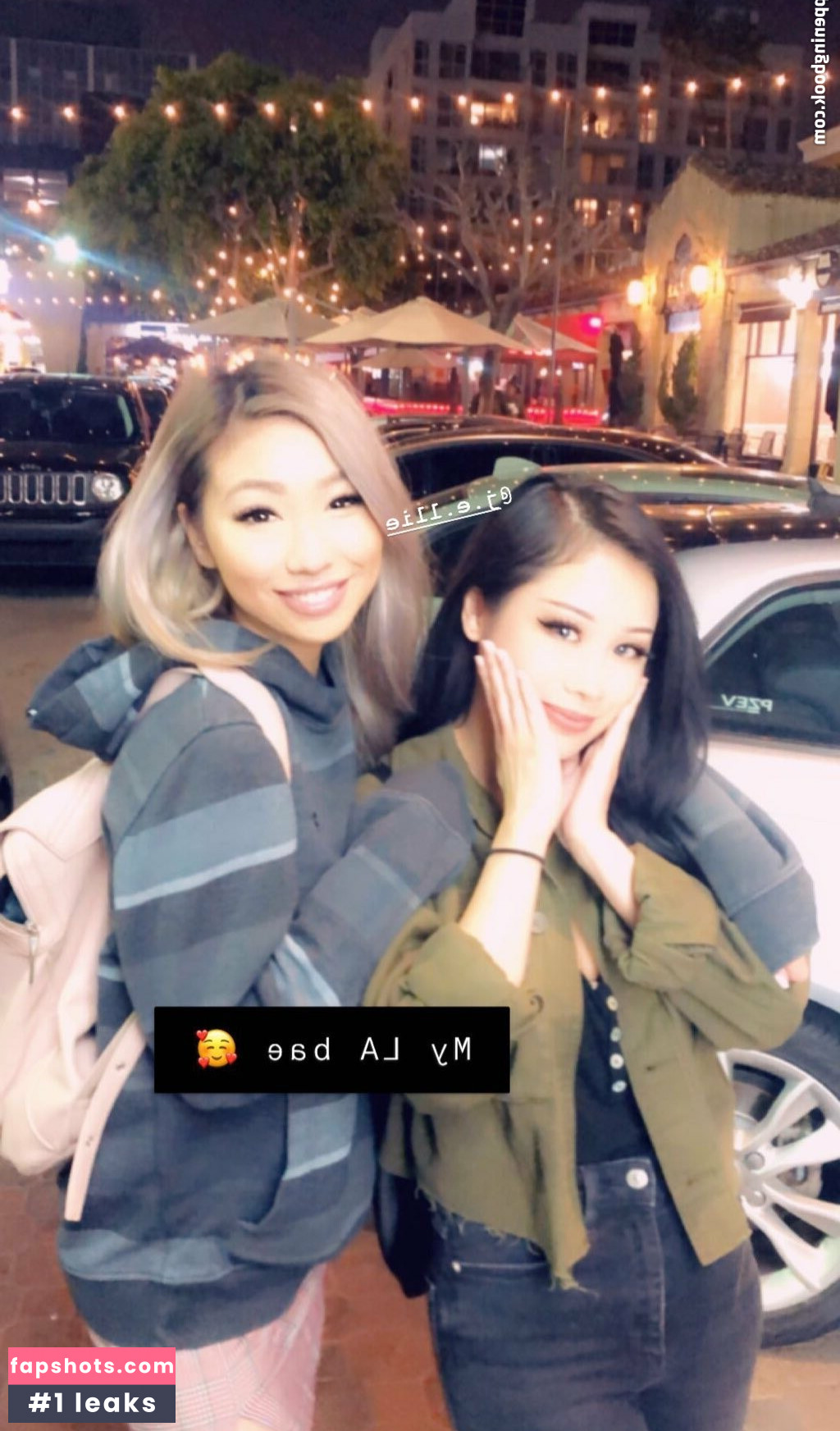 Winterfaerie gallery photo #31