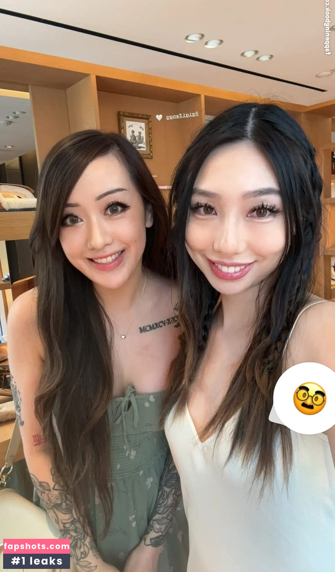 Winterfaerie gallery photo #34