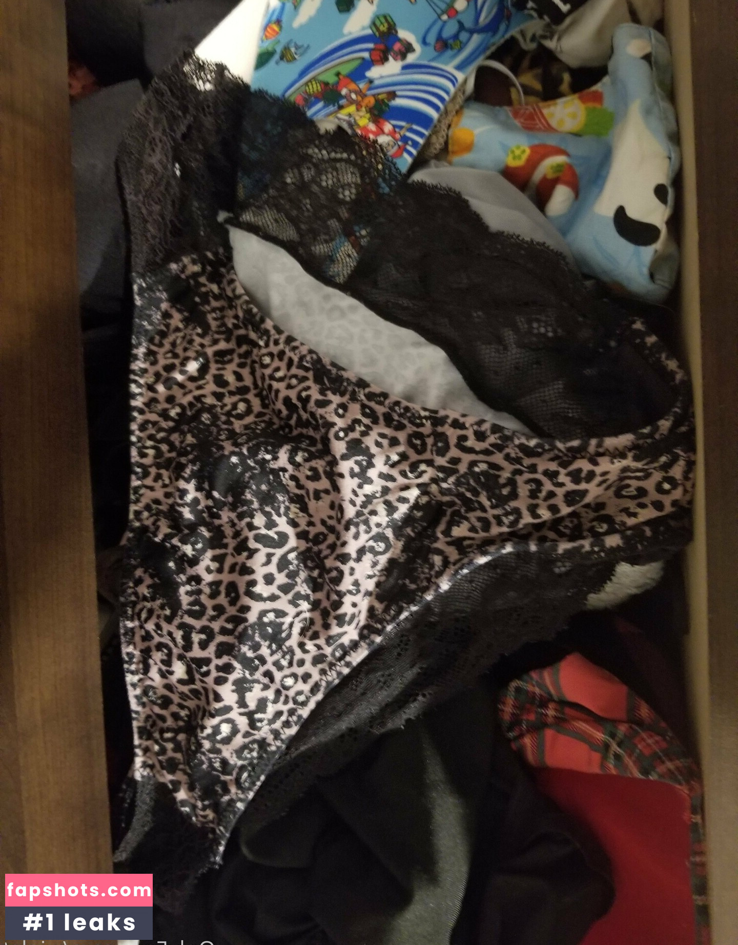 wiolet gallery photo #6