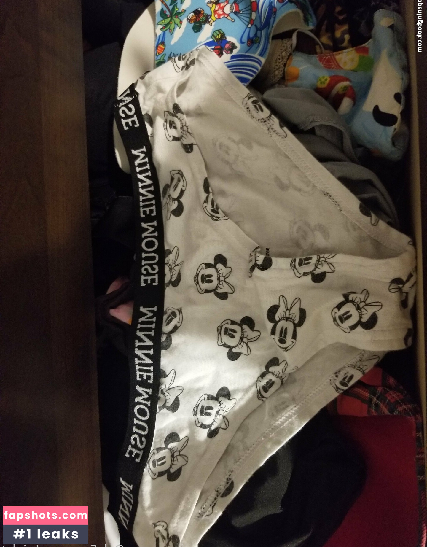 wiolet gallery photo #8