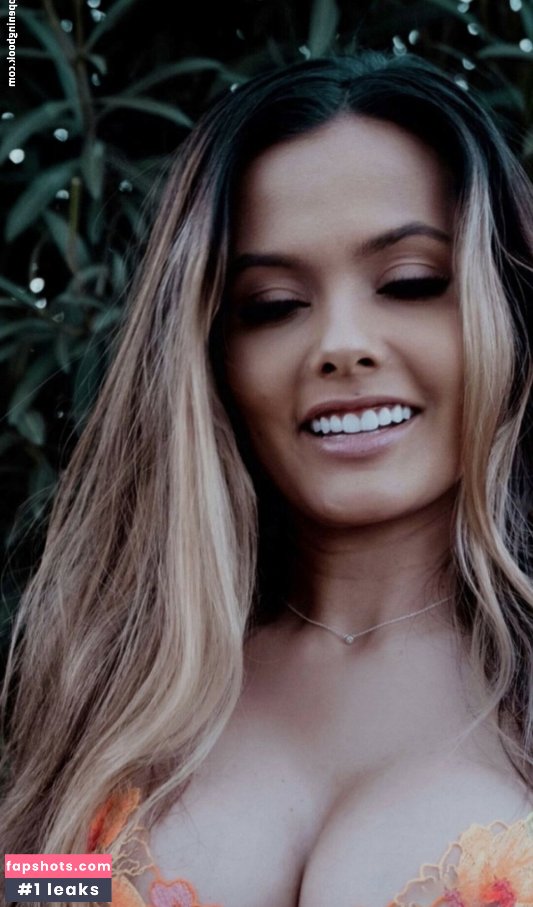 Wittlebears gallery photo #2