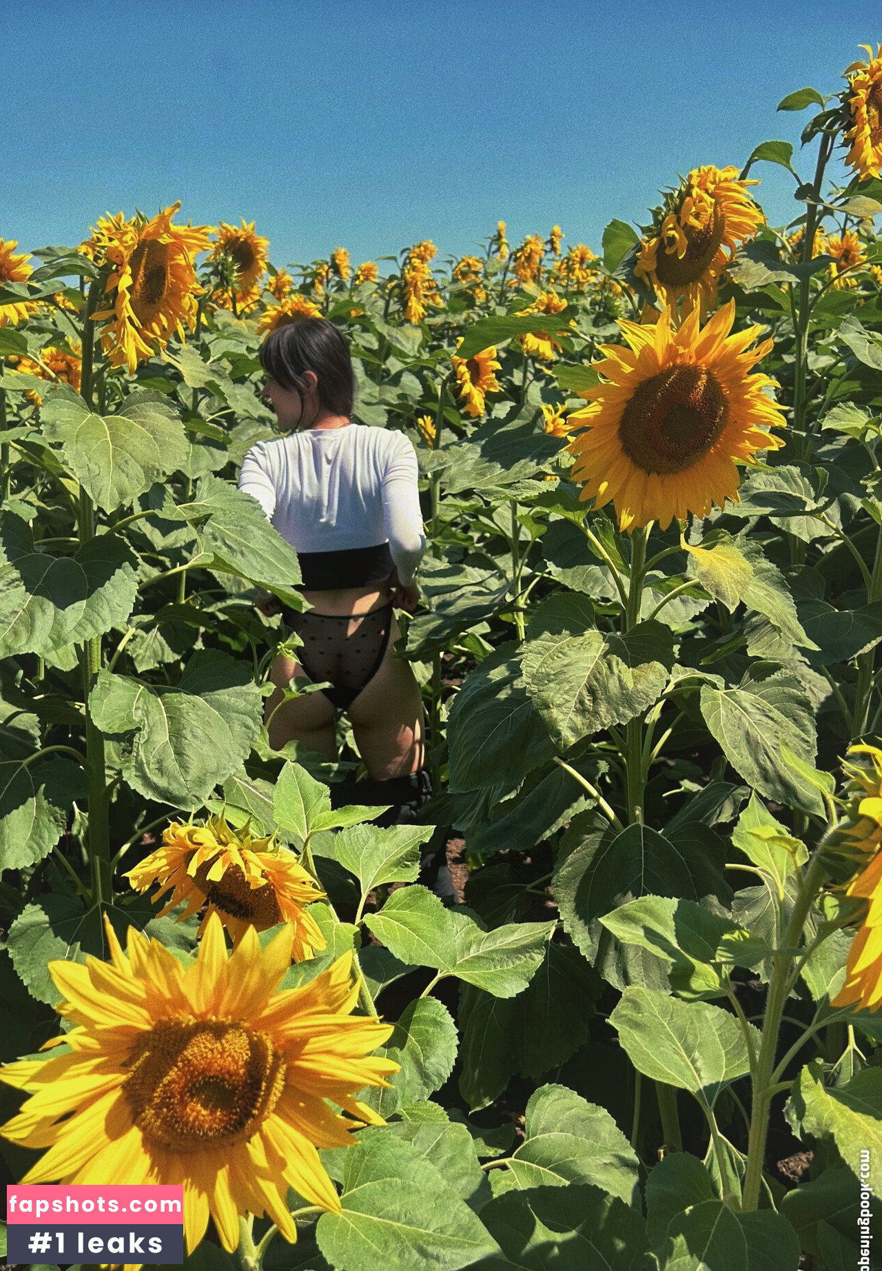 wkshiza gallery photo #3