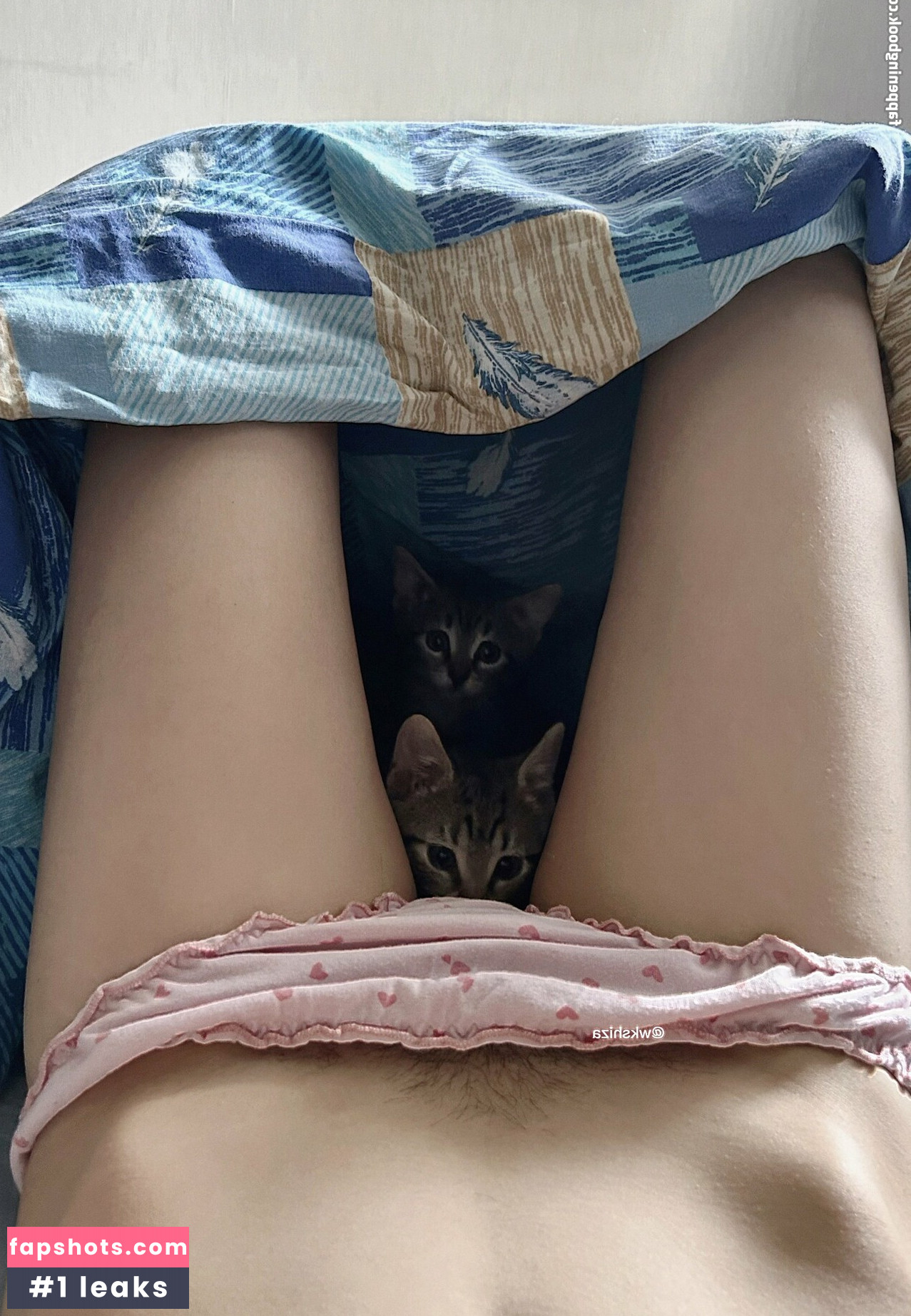 wkshiza gallery photo #26