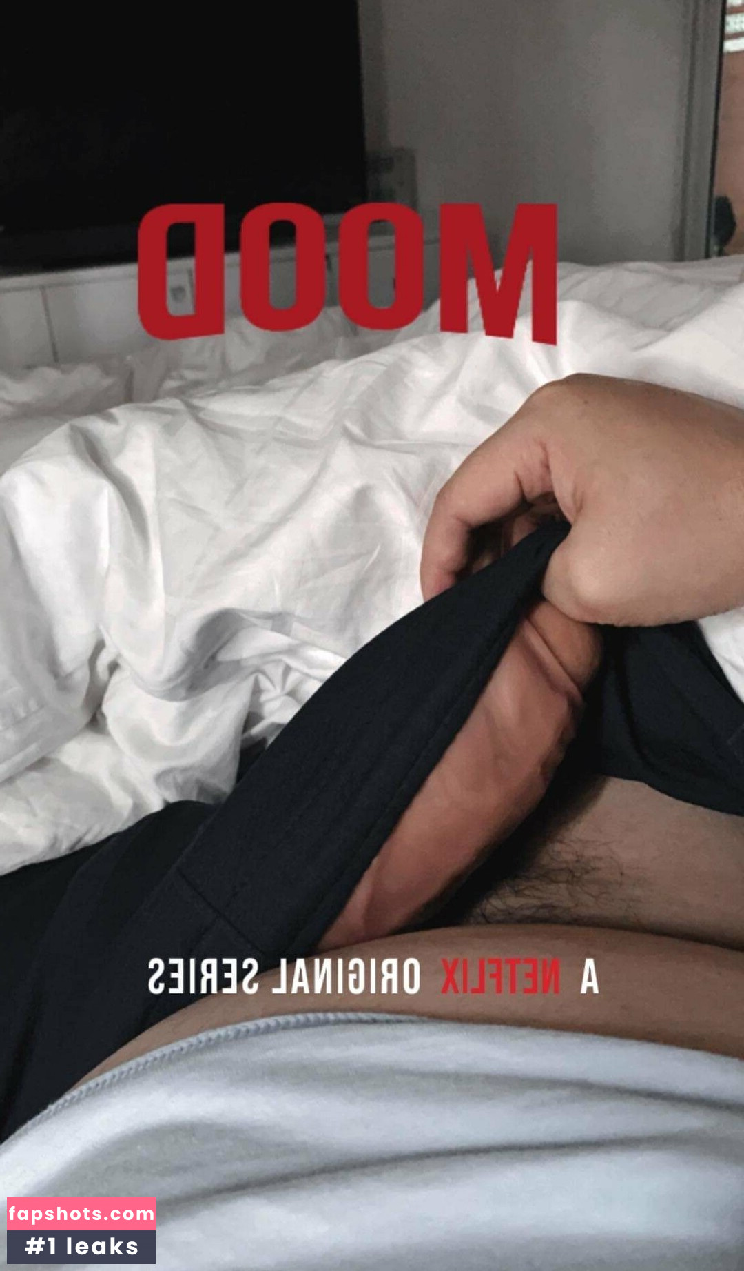 wnp55535995 gallery photo #11