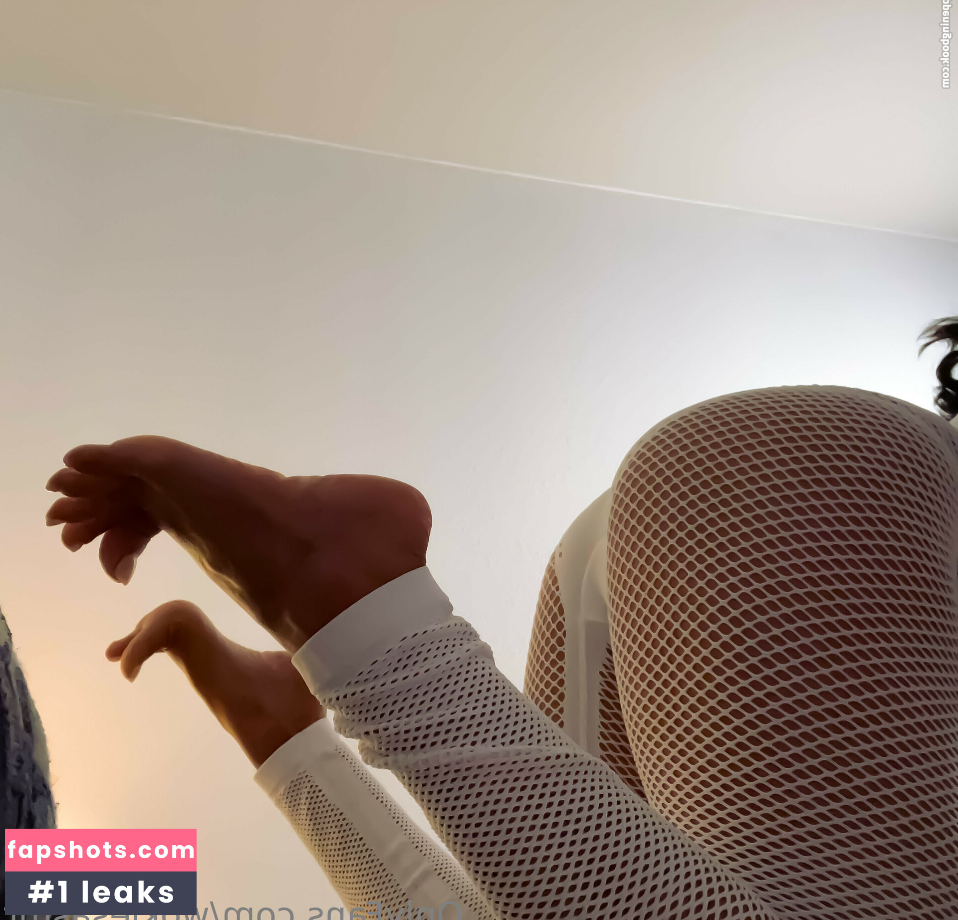 Wokies Asmr gallery photo #12