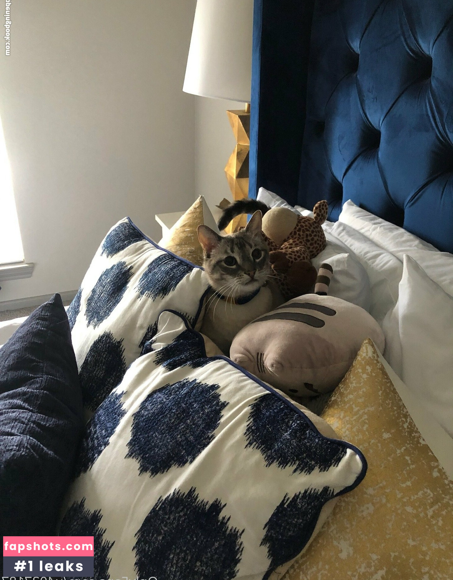 wolf6actual gallery photo #2