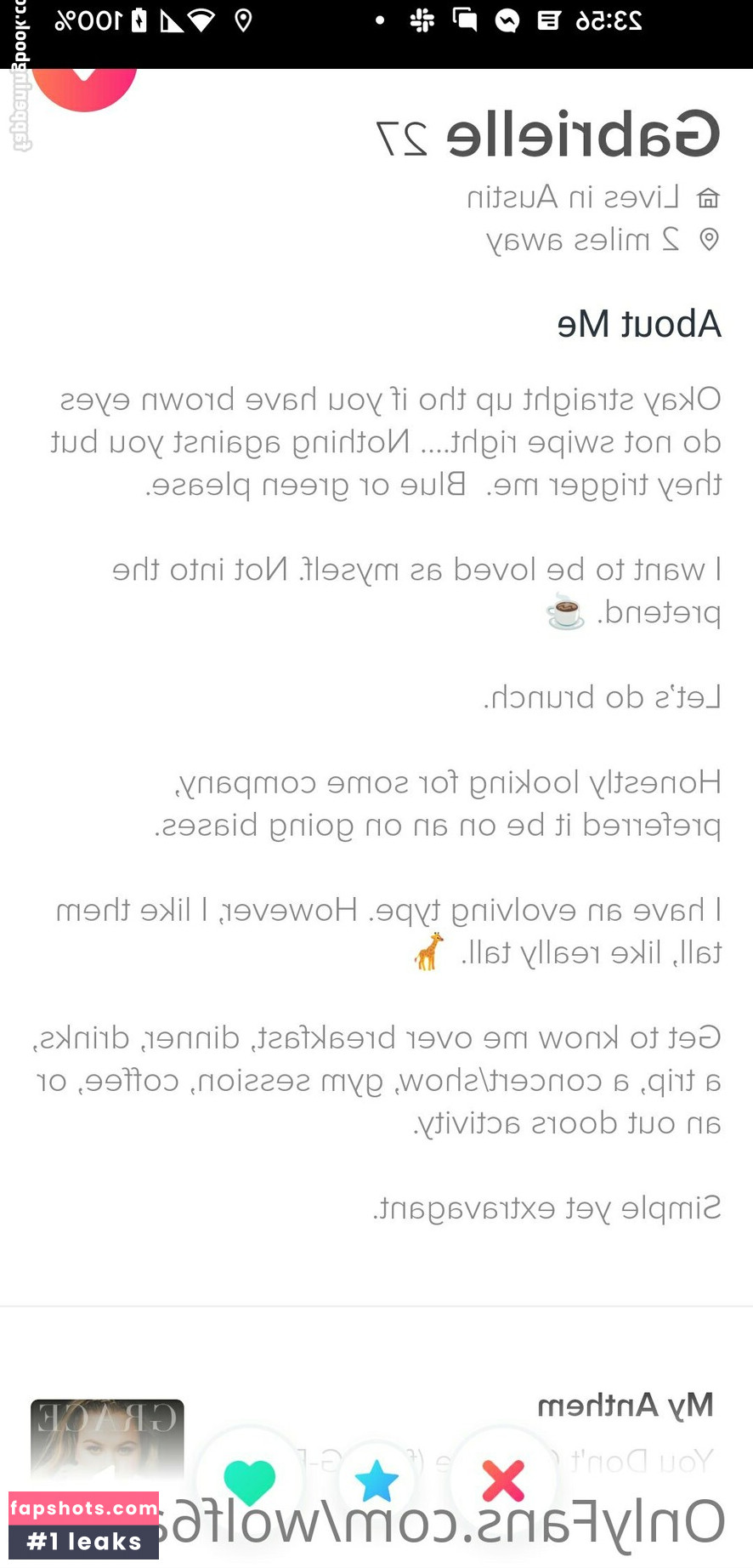 wolf6actual gallery photo #11