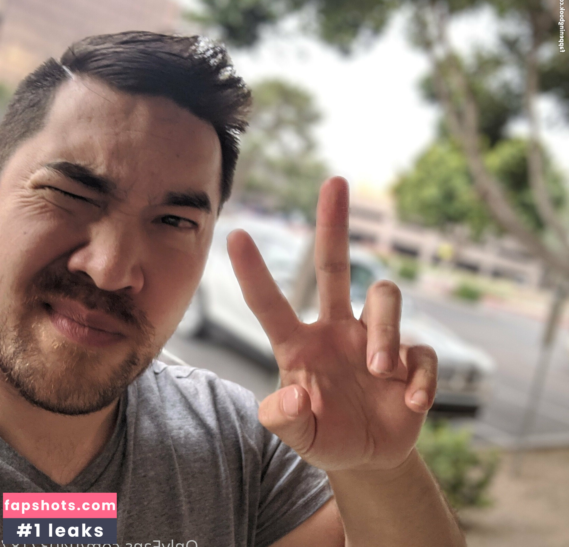 wolf6actual gallery photo #3