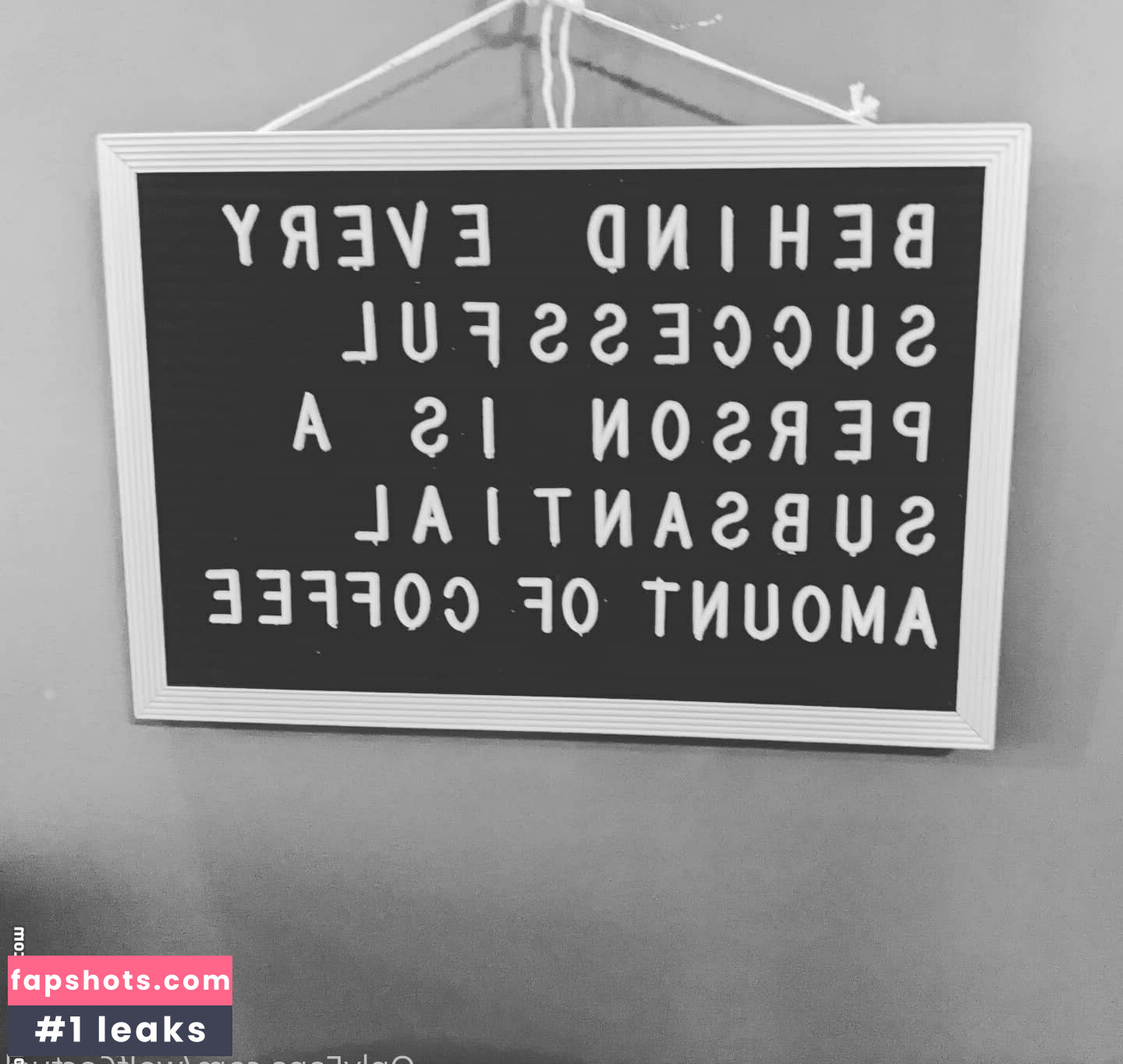 wolf6actual gallery photo #9