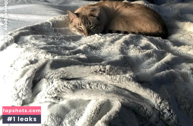 wolf6actual gallery photo #10