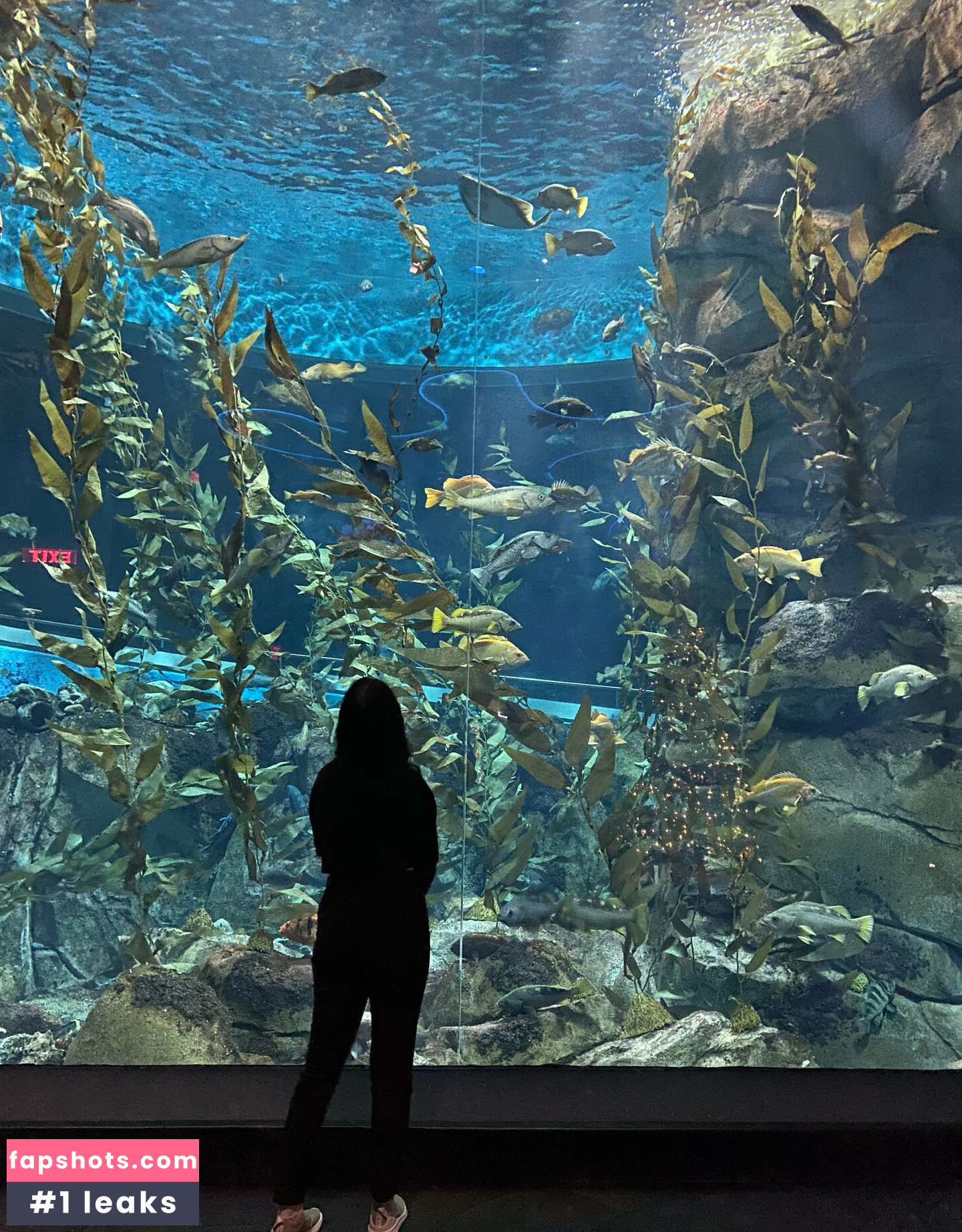 Wolfabelle Nude Leaks OnlyFans Photos #88 - LeakJerk