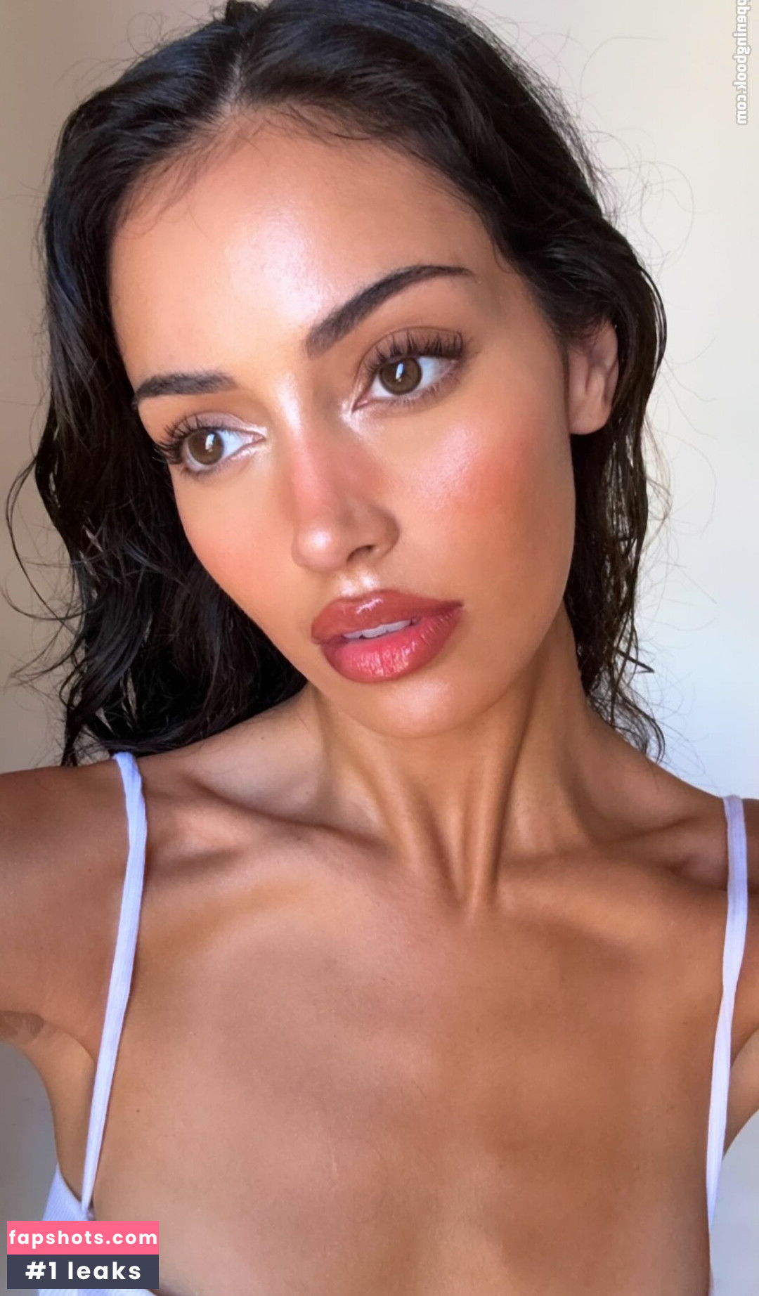 Wolfiecindy gallery photo #148