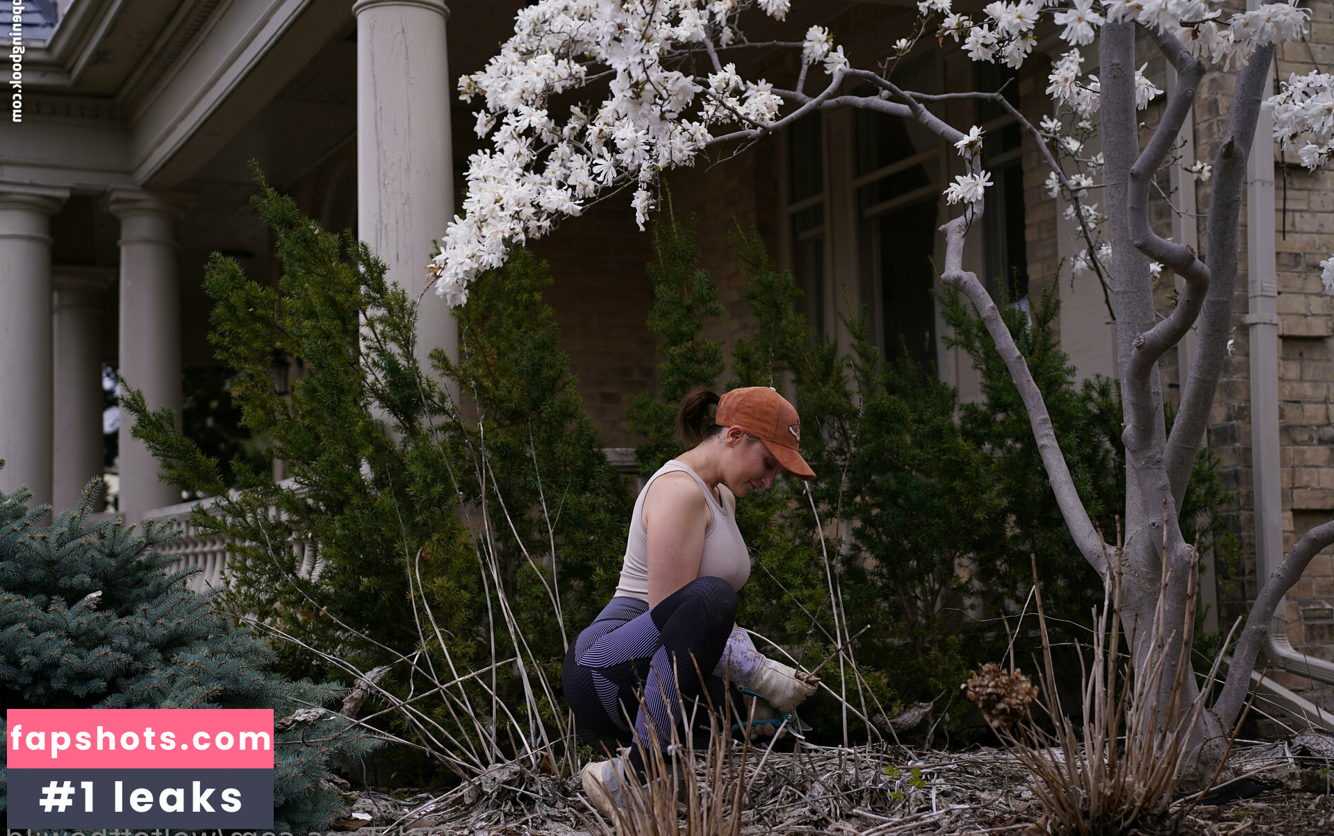 wolfofthewild gallery photo #79