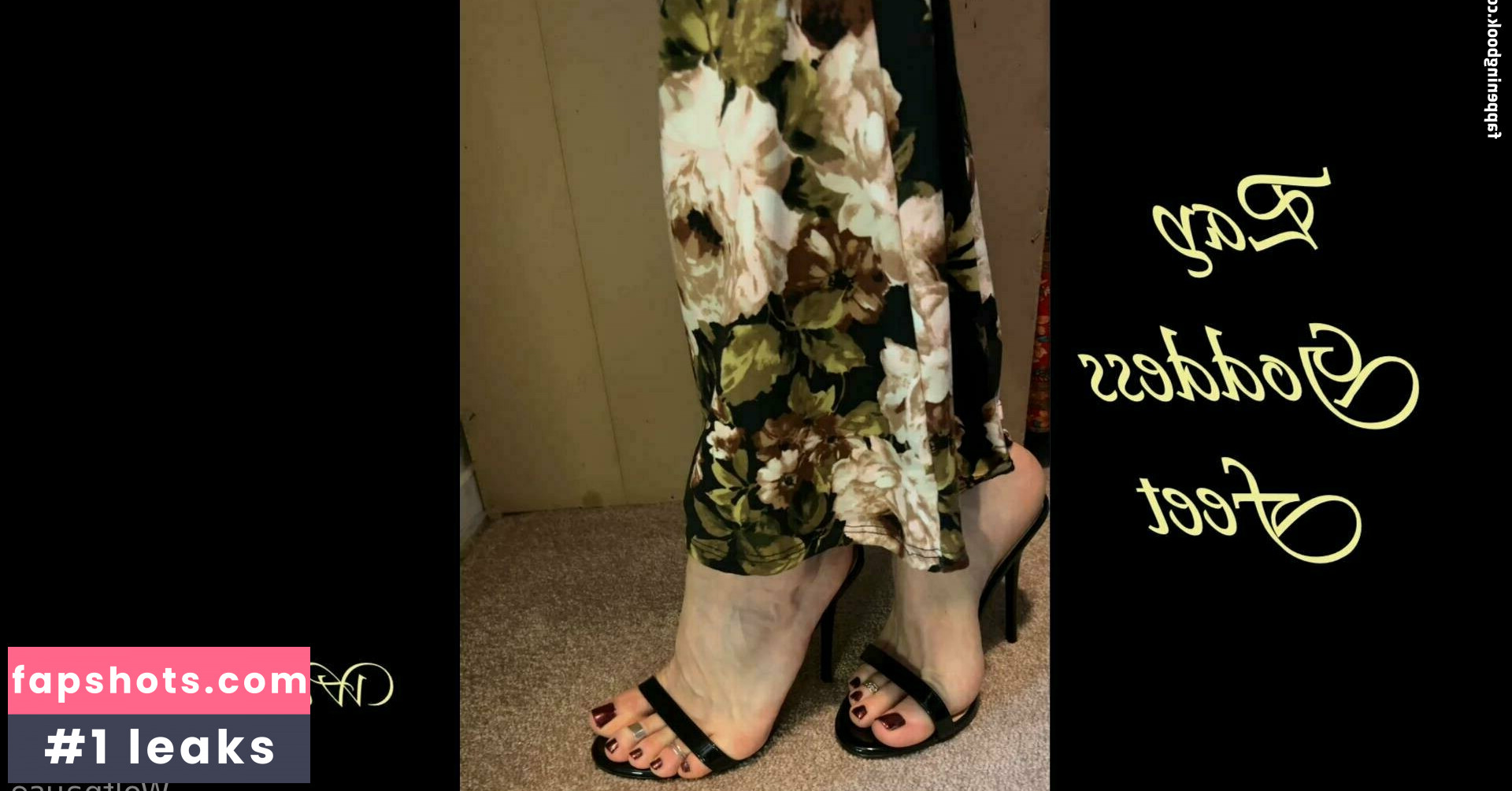 wolfpause gallery photo #2