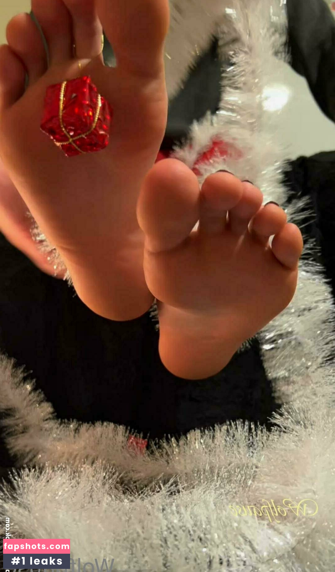 wolfpause gallery photo #3