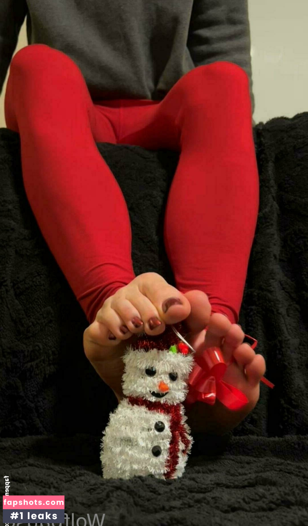 wolfpause gallery photo #6