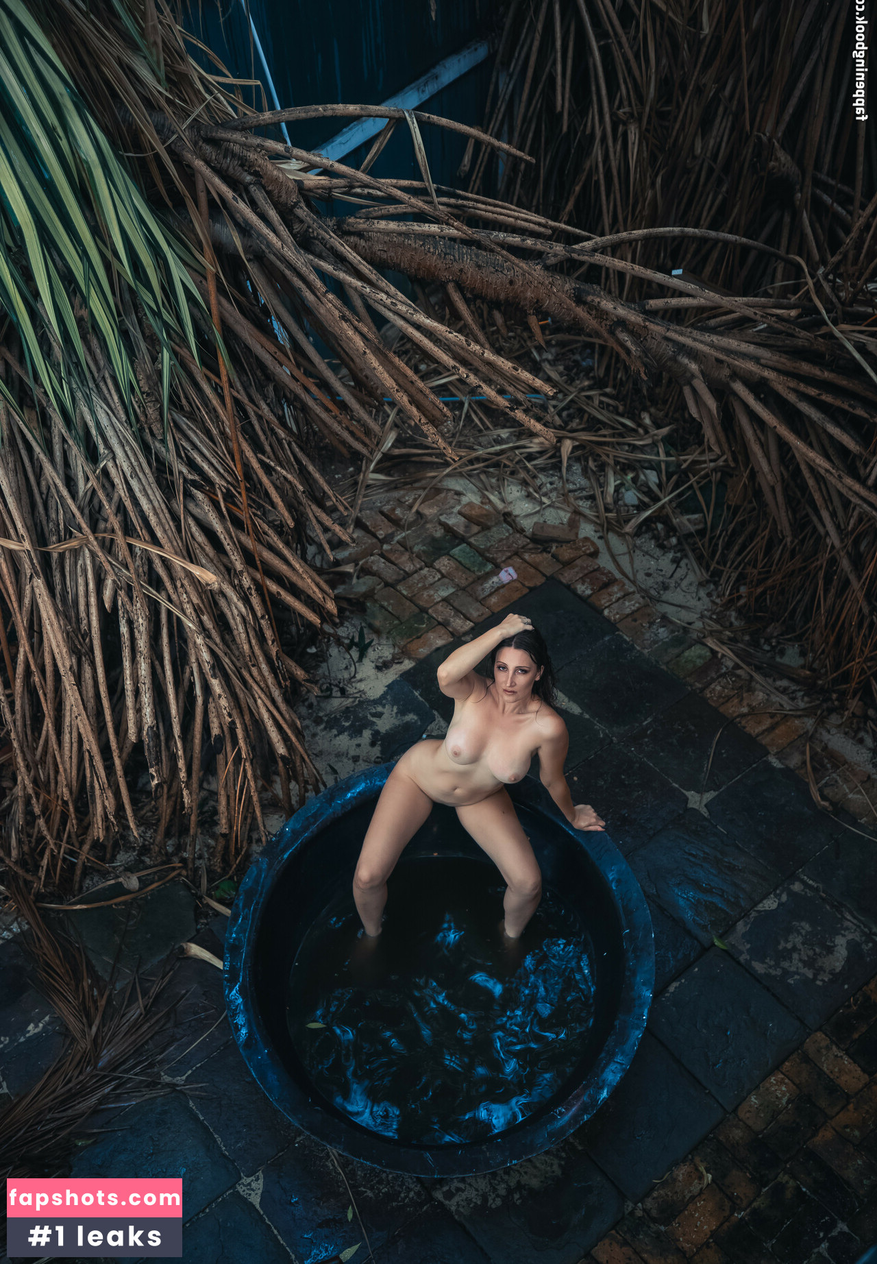 WolfTheWild gallery photo #17