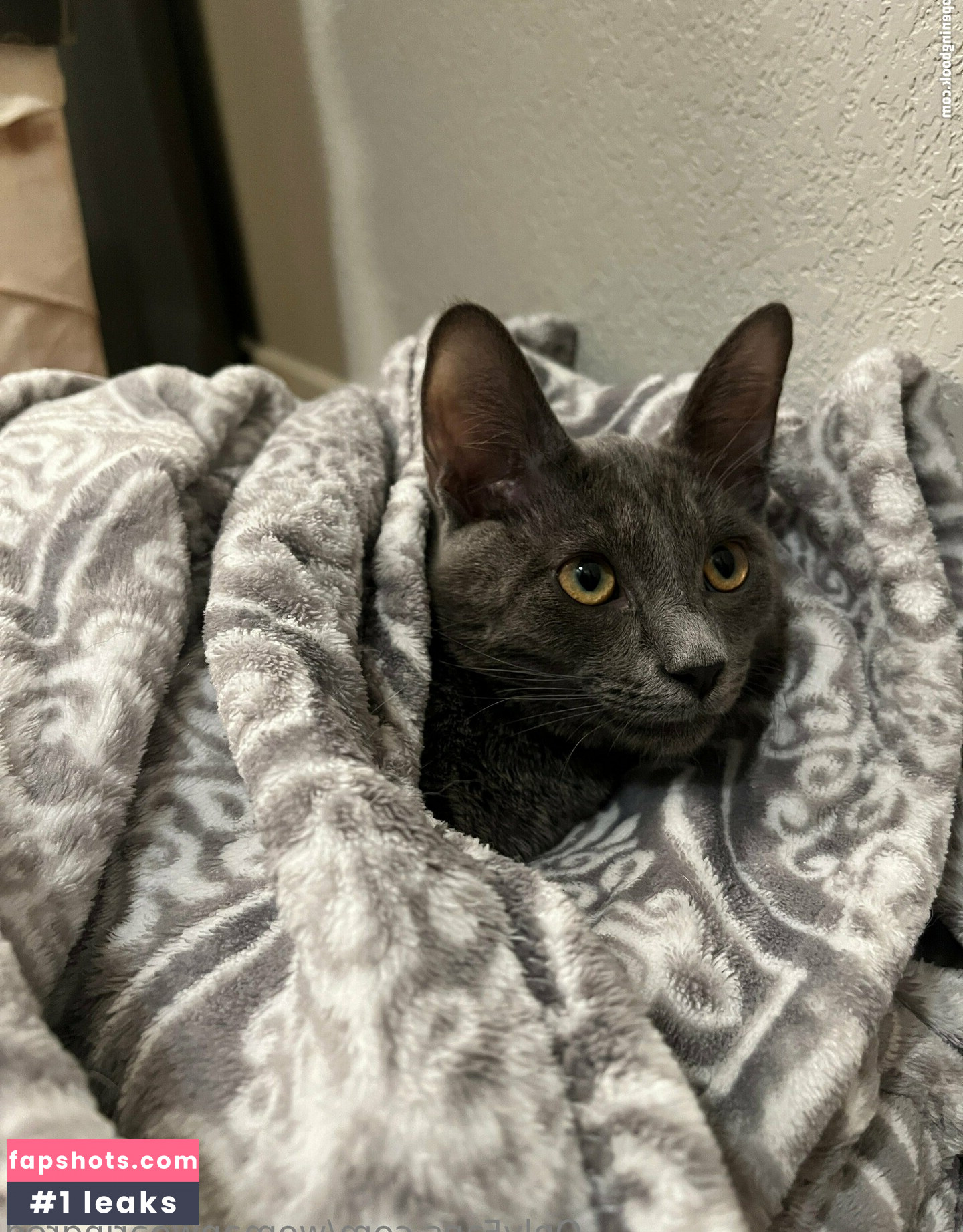 womanwearingred Filtración Desnuda OnlyFans Foto #83 - Fapshots