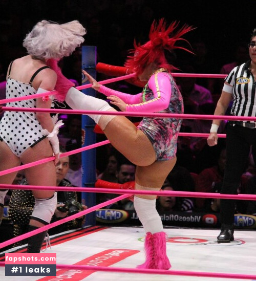 Women of Professional Wrestling gallery photo #1456