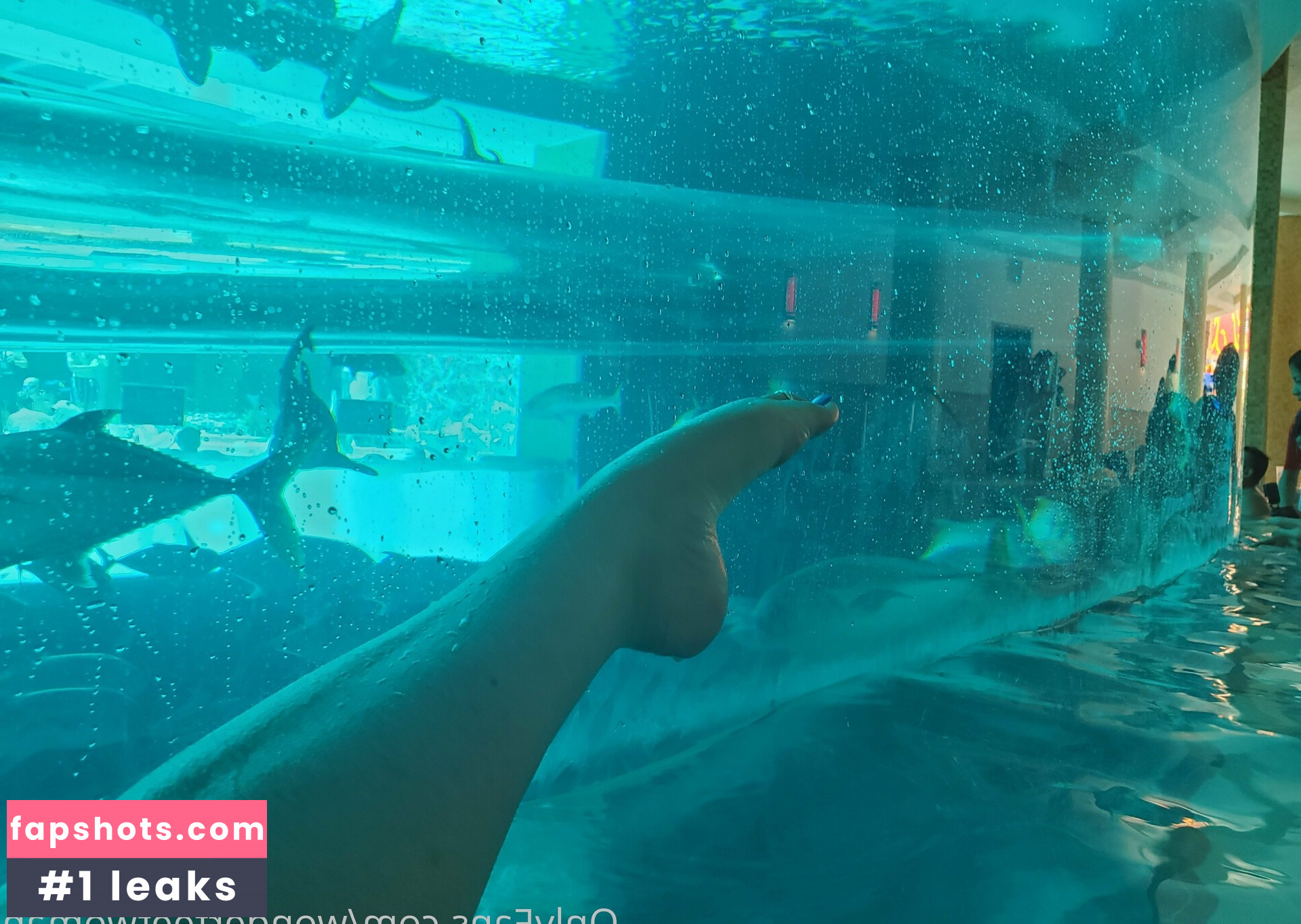 wonderfeetwoman gallery photo #10