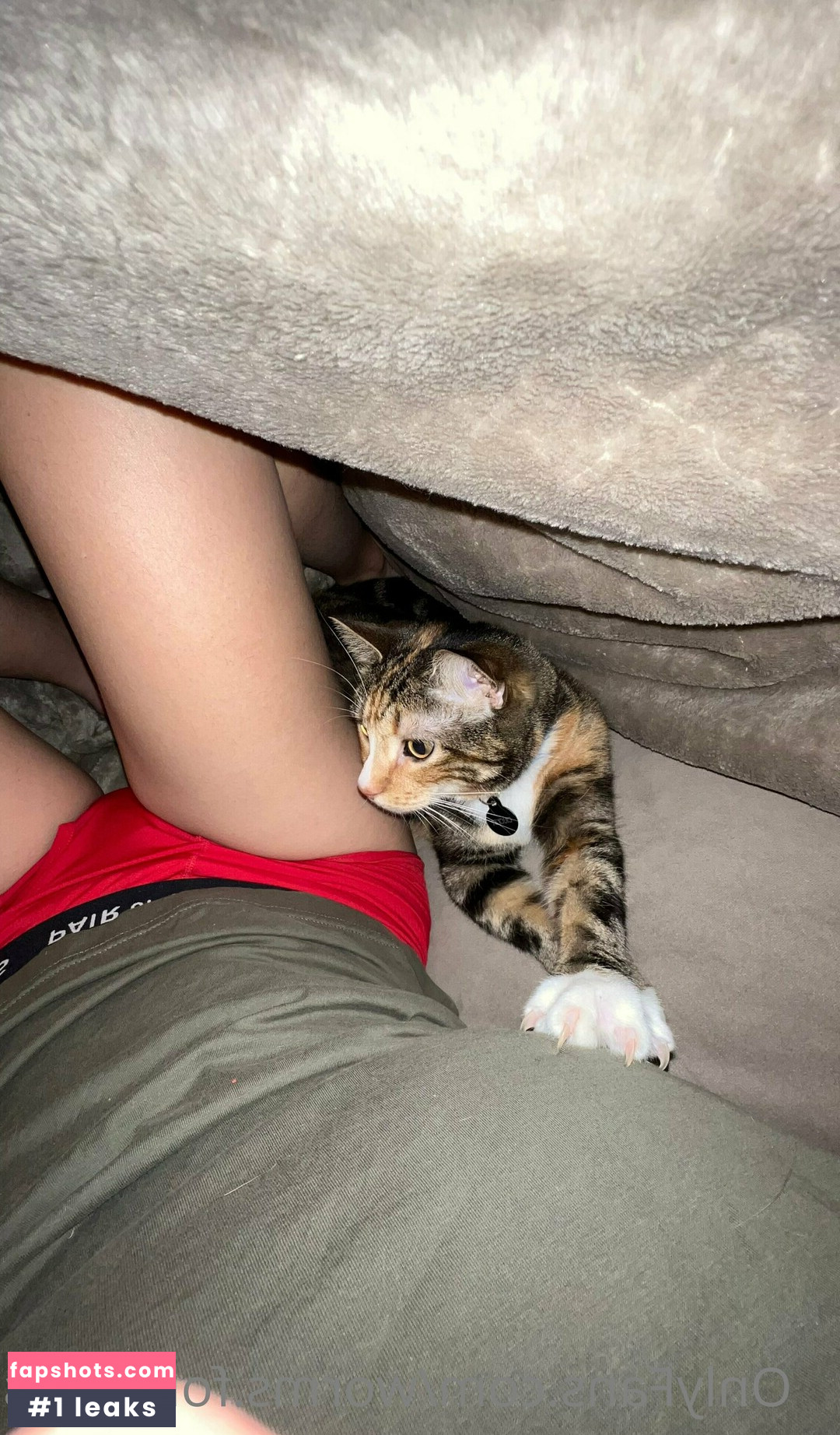 worms.forbrains gallery photo #29