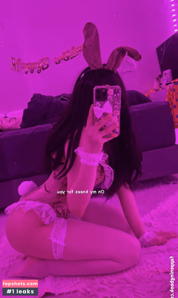 wptlrkapdl gallery photo #5