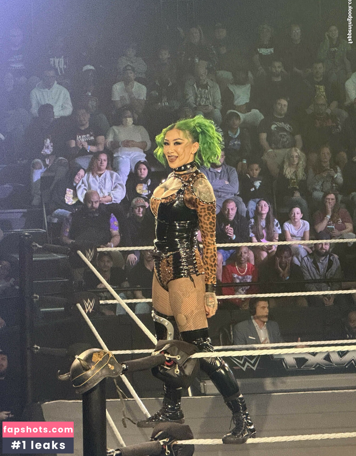 WWE Shotzi gallery photo #34