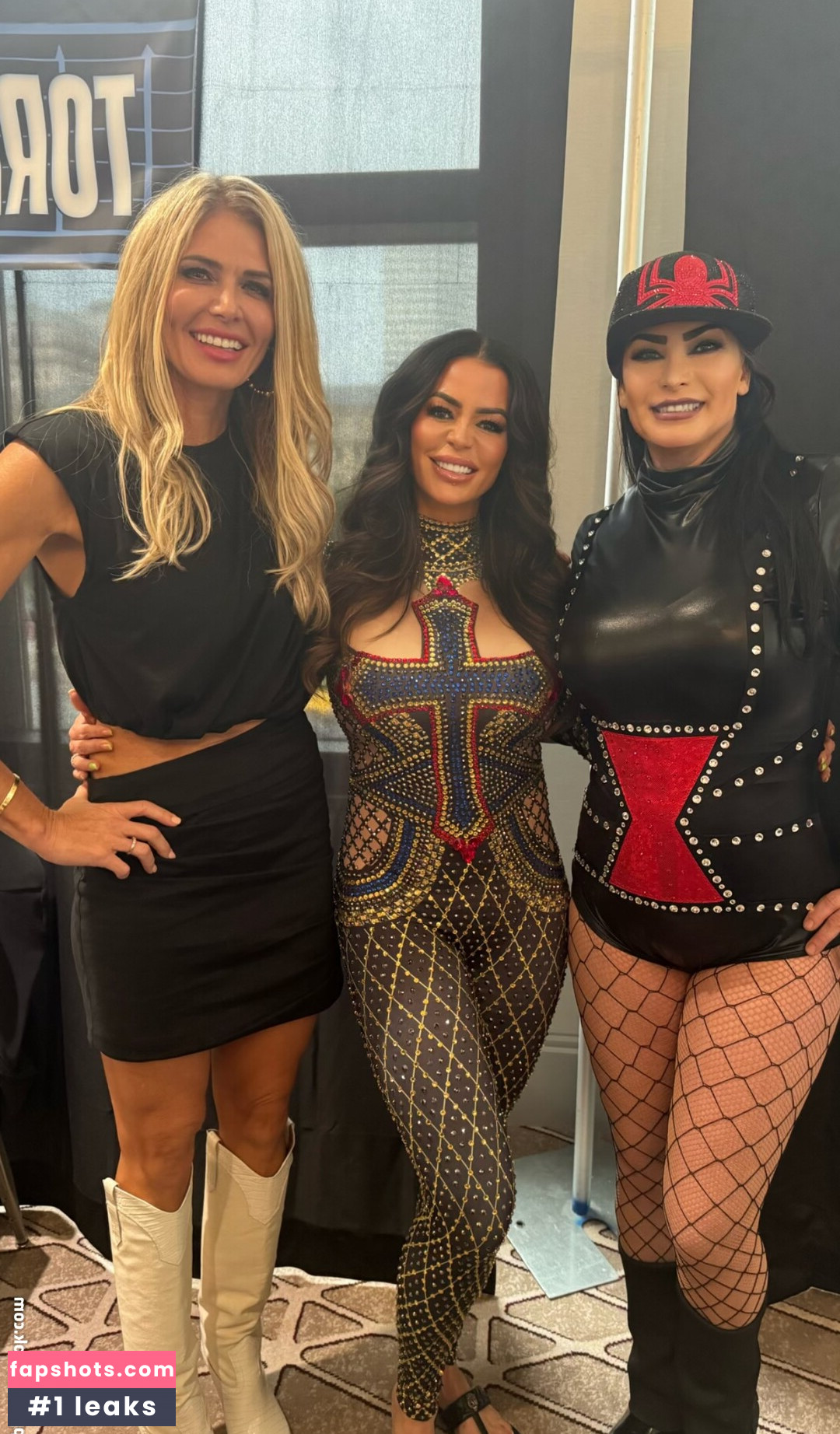 WWE Torrie Wilson gallery photo #10