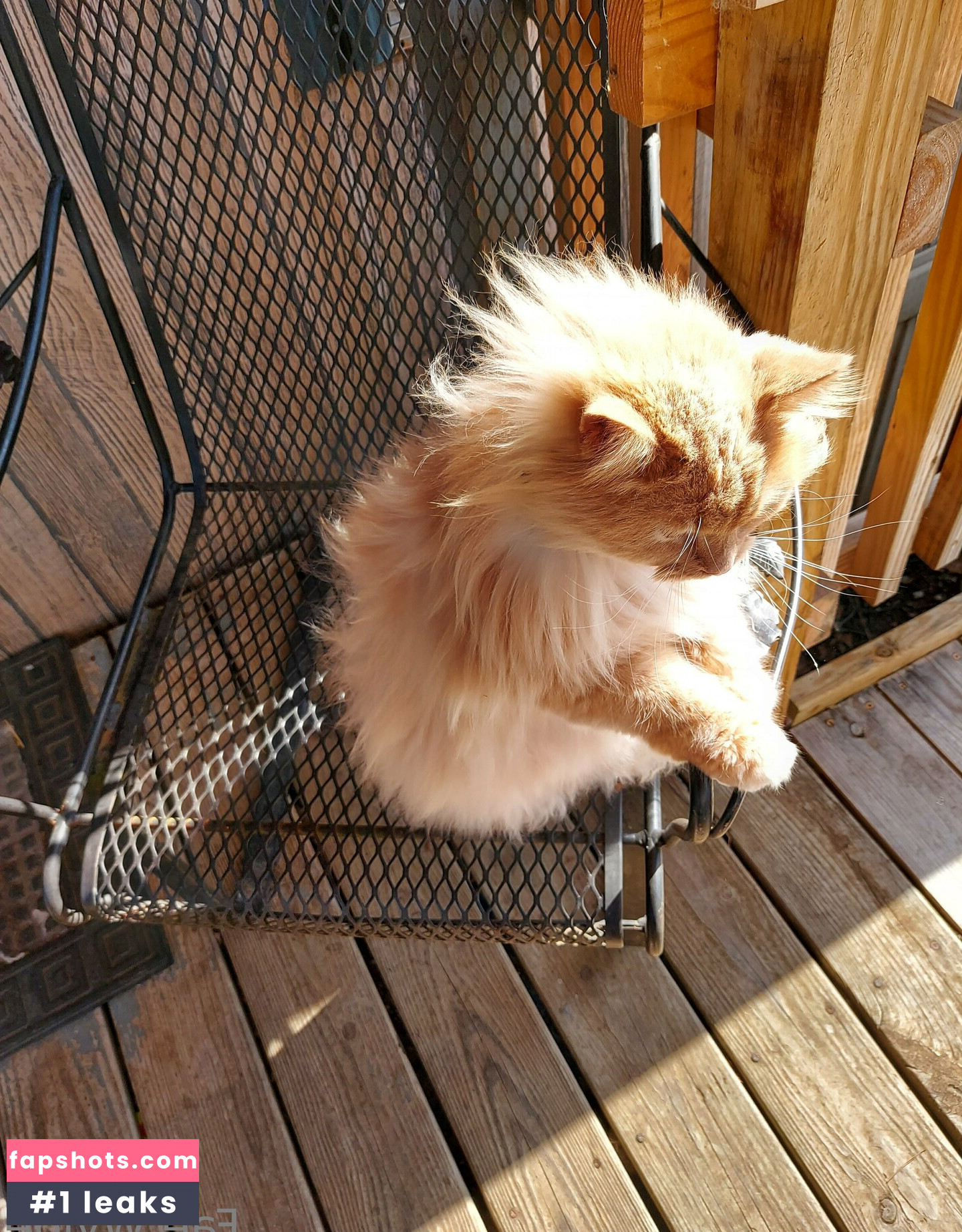 wyldestardust Nude Leaks OnlyFans Photos #3 - Fapshots