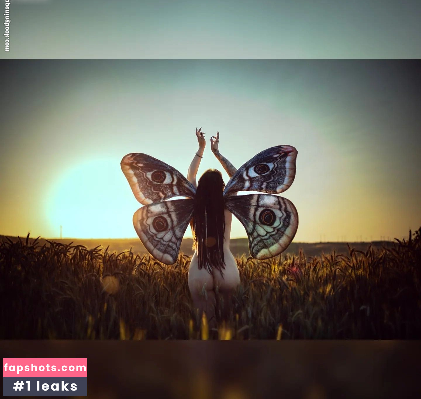 Wyndprinzessin gallery photo #2