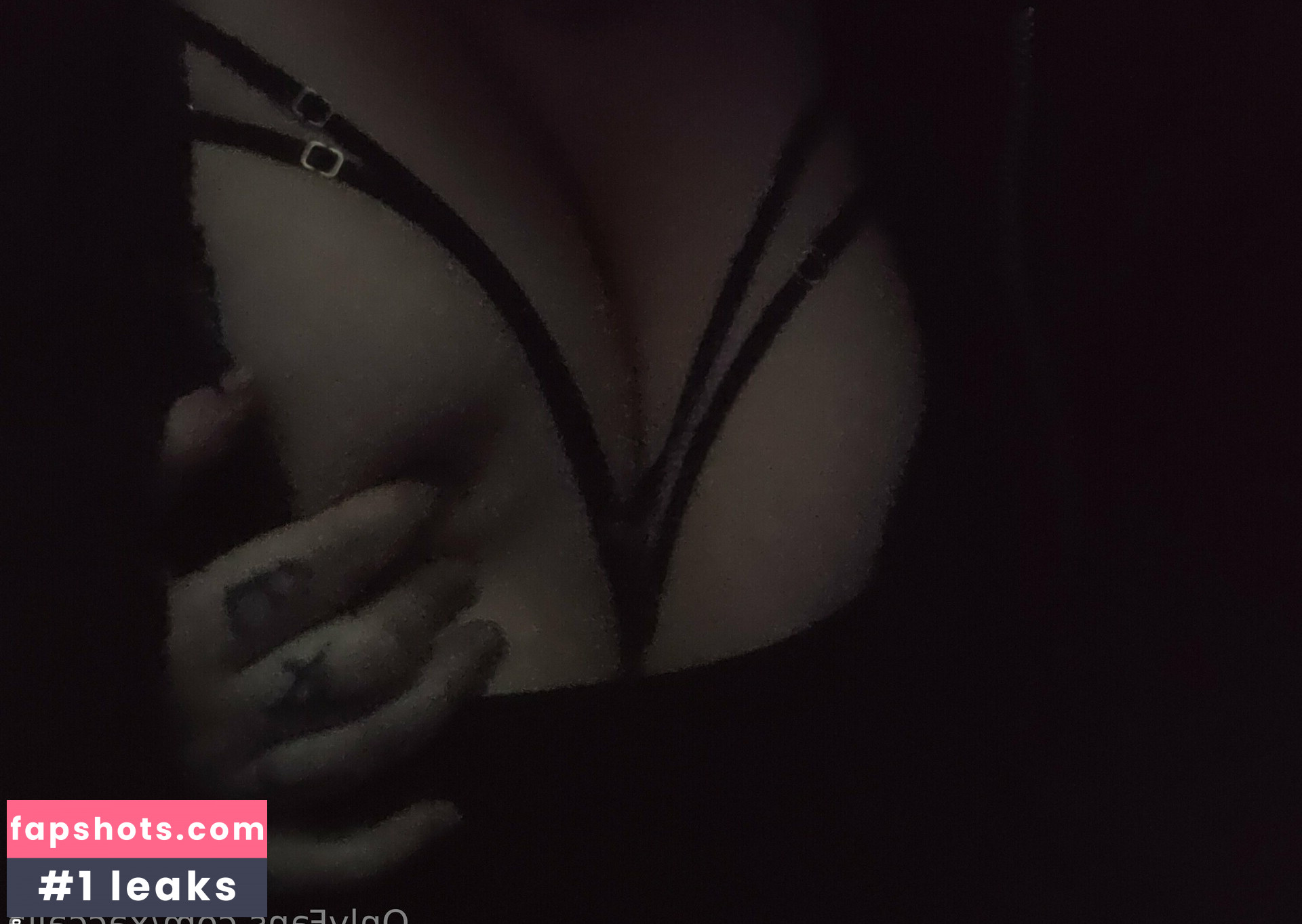 xaccalia gallery photo #3