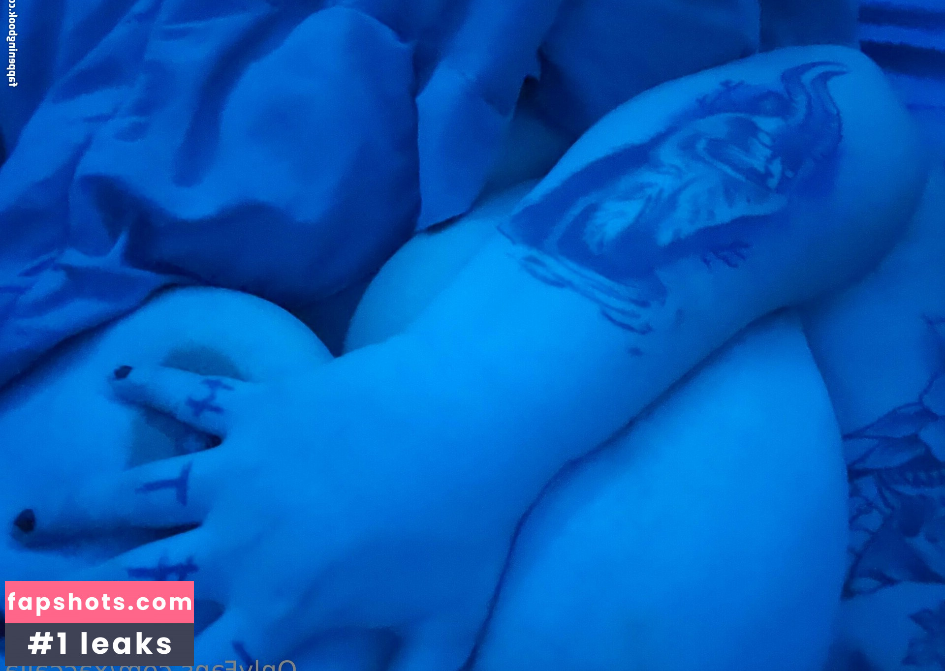 xaccalia gallery photo #5