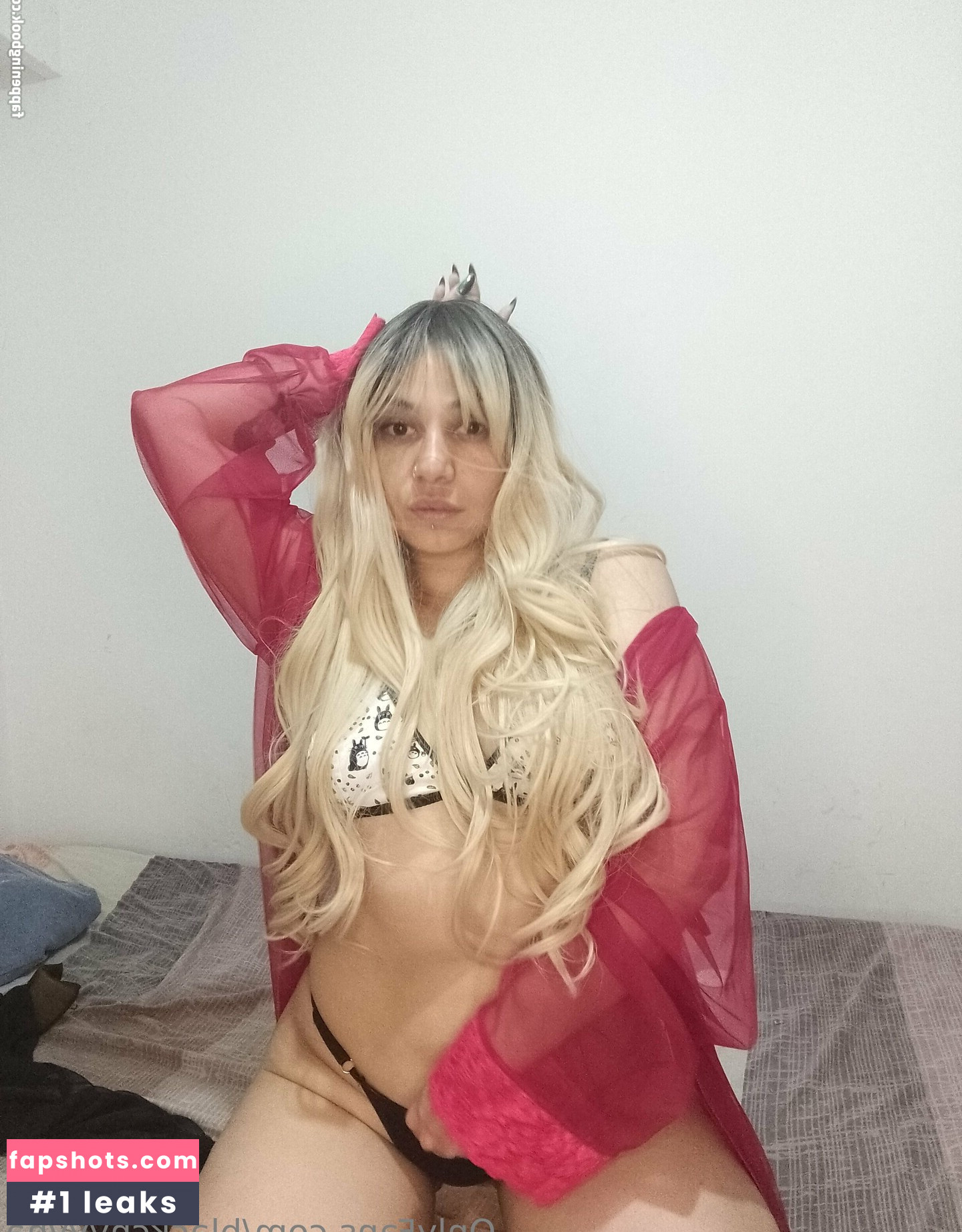 xiawebb gallery photo #15