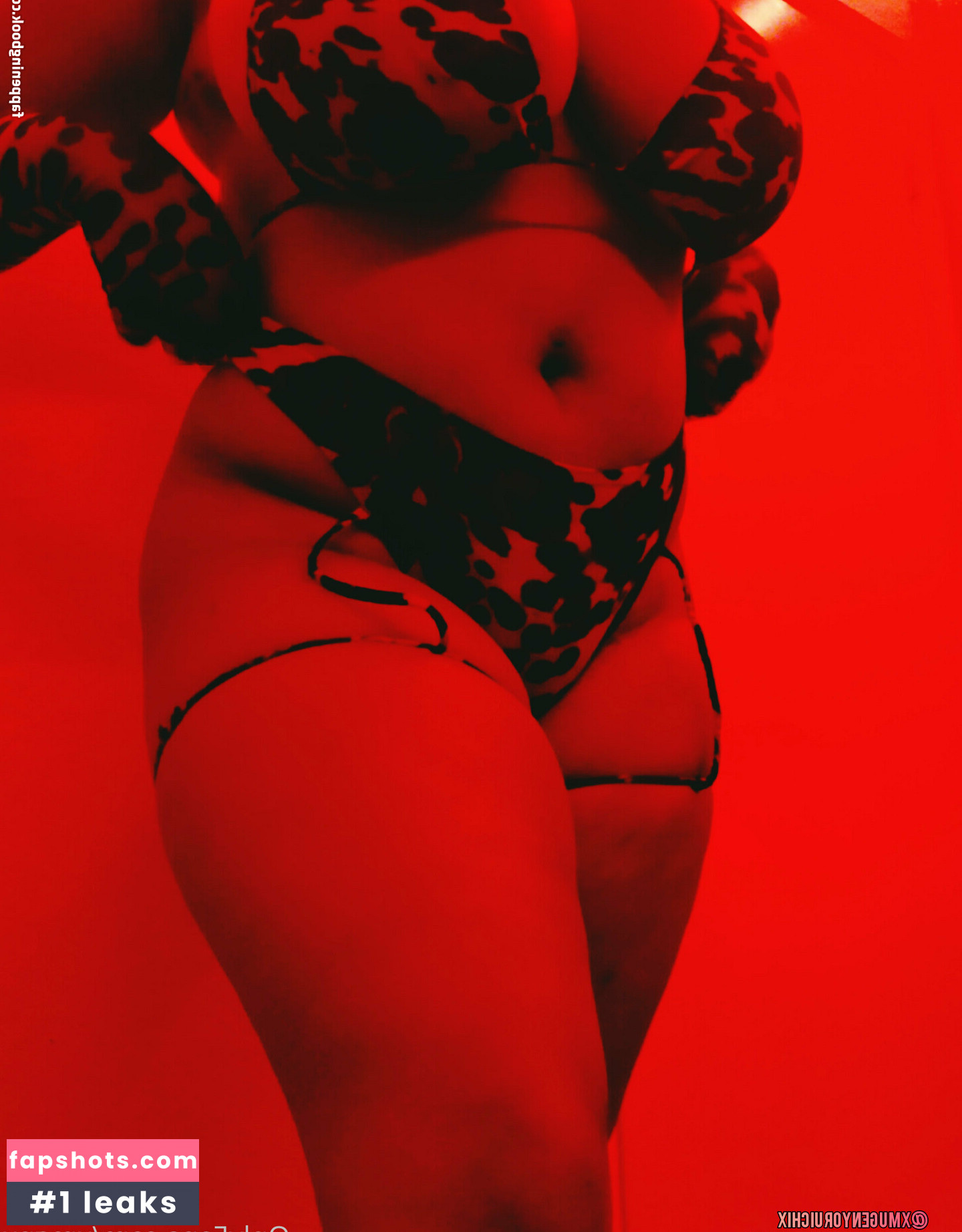 xmgnx gallery photo #3