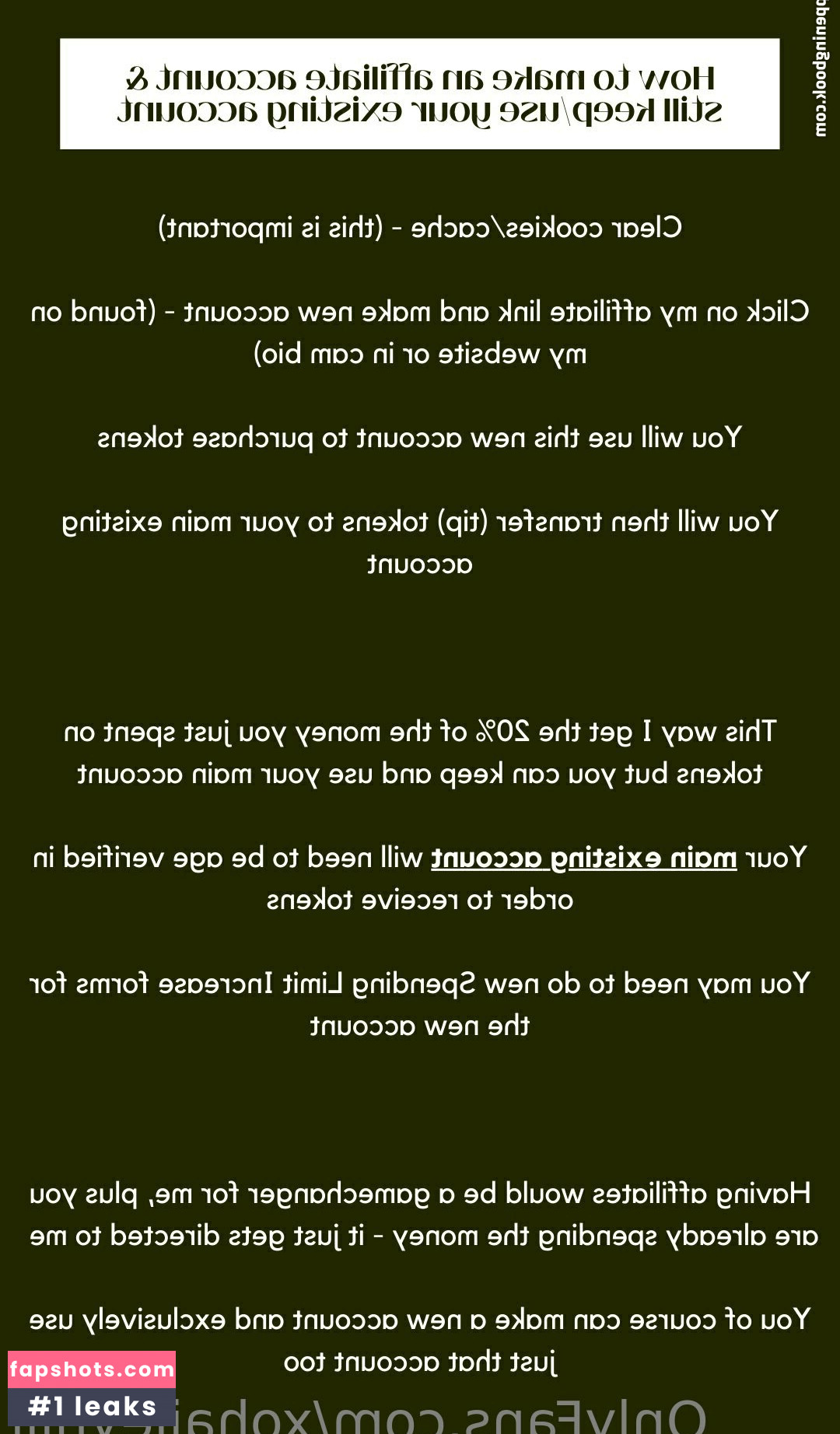 xohaileyhill gallery photo #4