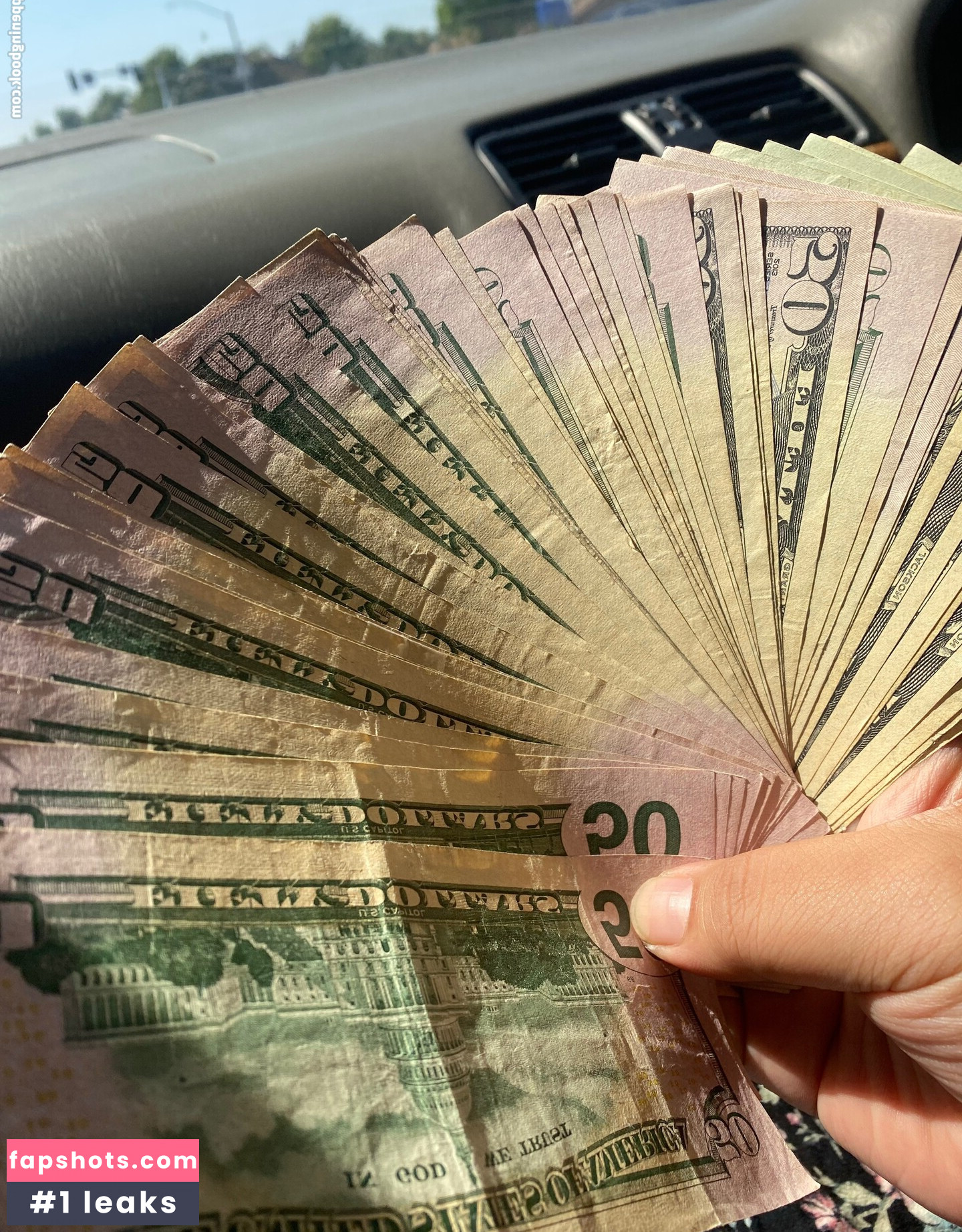 xolucina gallery photo #2