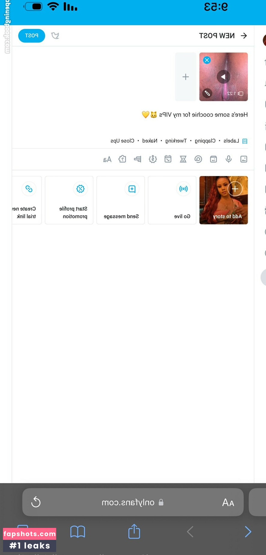 xotacaraa gallery photo #2