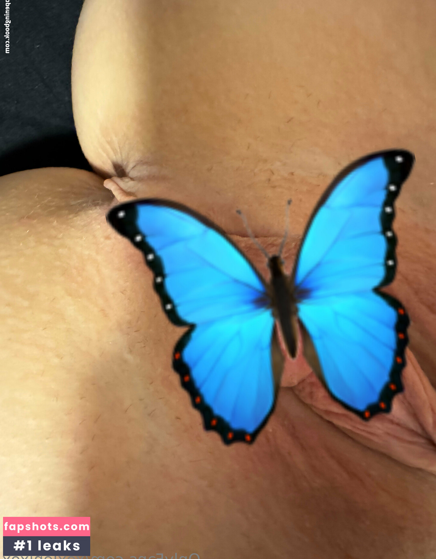 xoxlenixox gallery photo #10