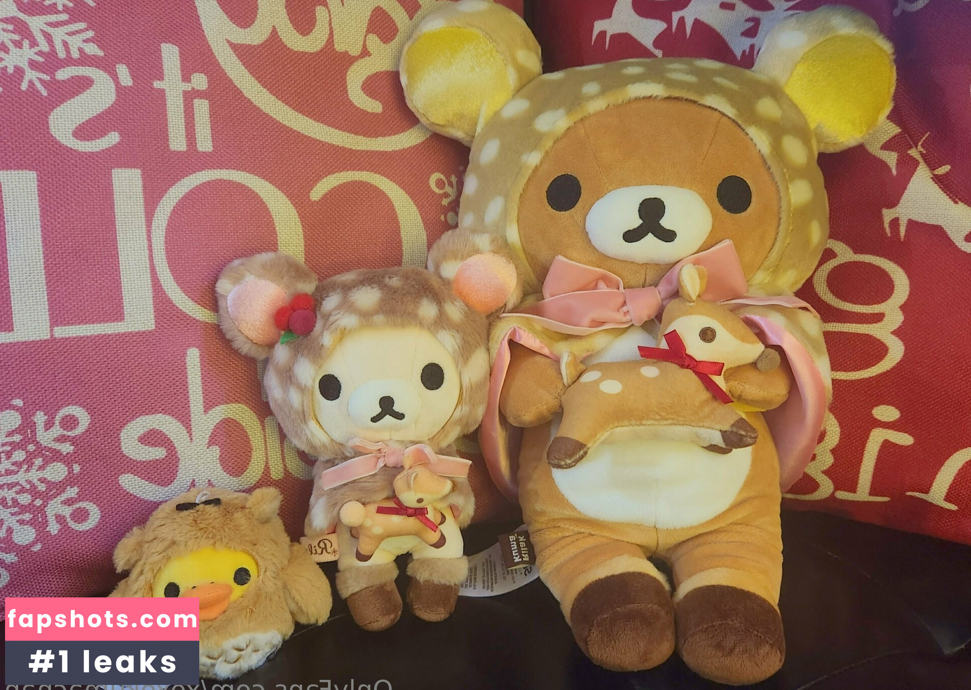 xoxokumachan gallery photo #16