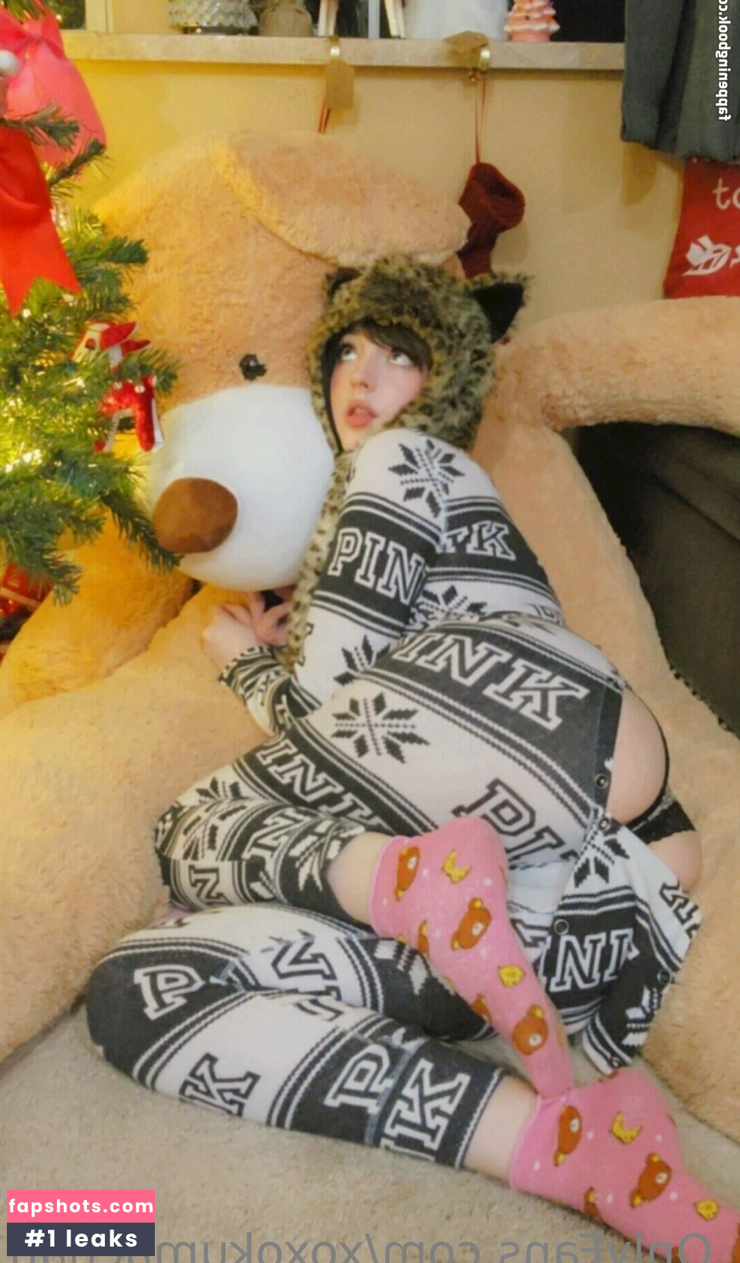 xoxokumachan gallery photo #5