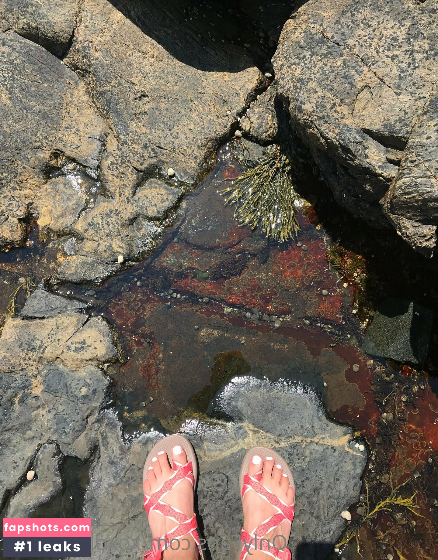 xoxolovelyfeet gallery photo #4