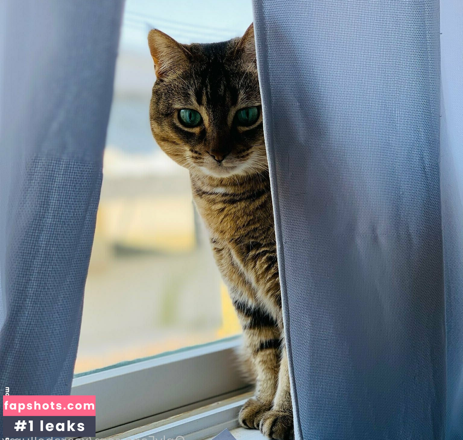 xsarabellumx gallery photo #22