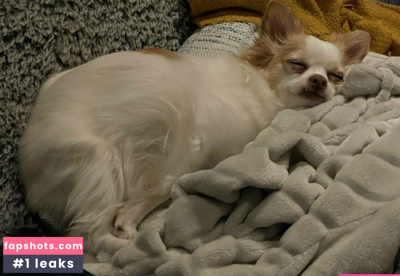 xsofiasunshine Nude Leaks OnlyFans Photos #1101 - LeakJerk