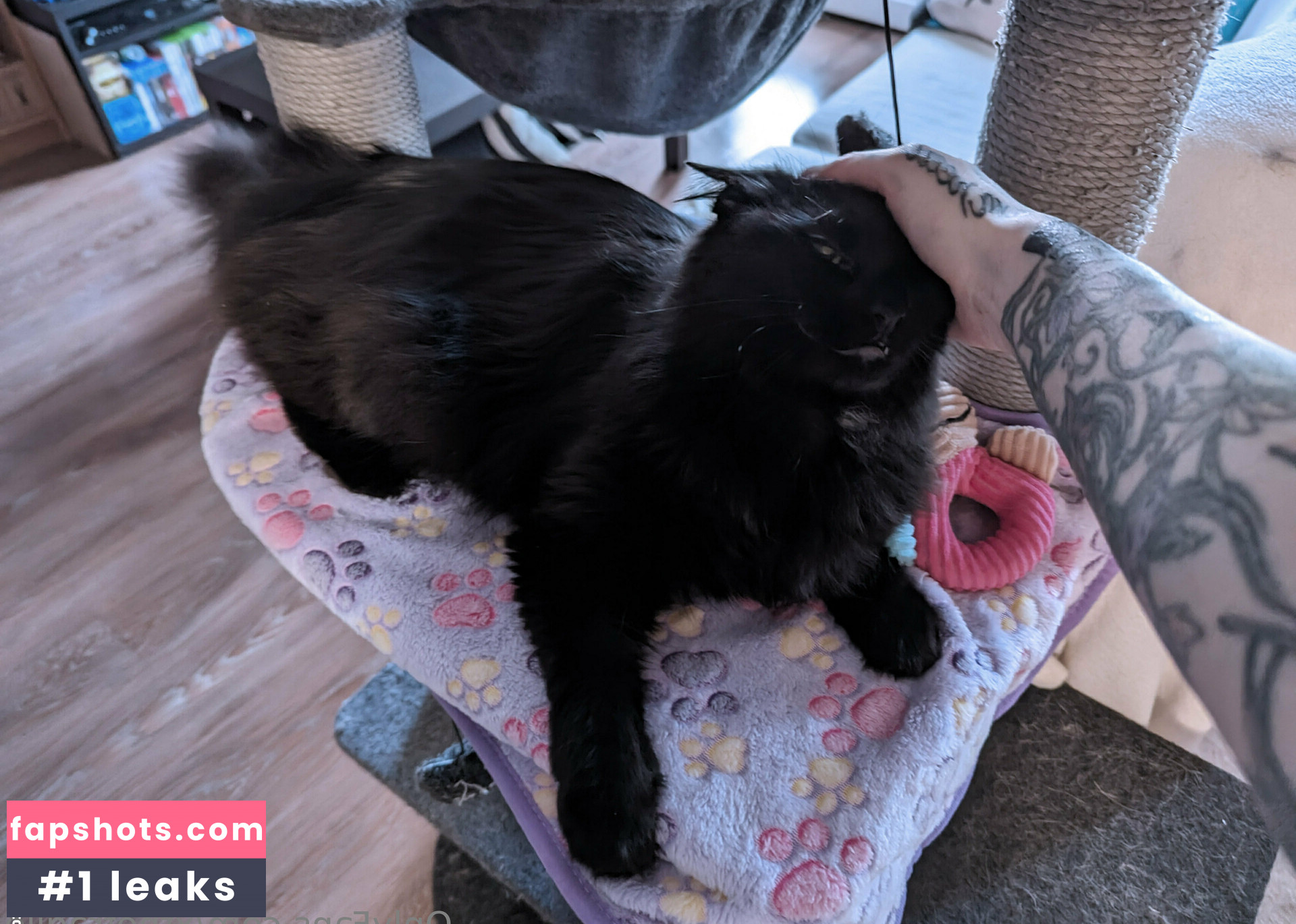 xthefragile gallery photo #14