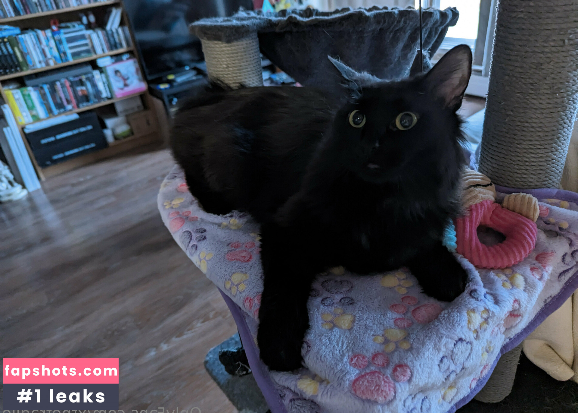 xthefragile gallery photo #16