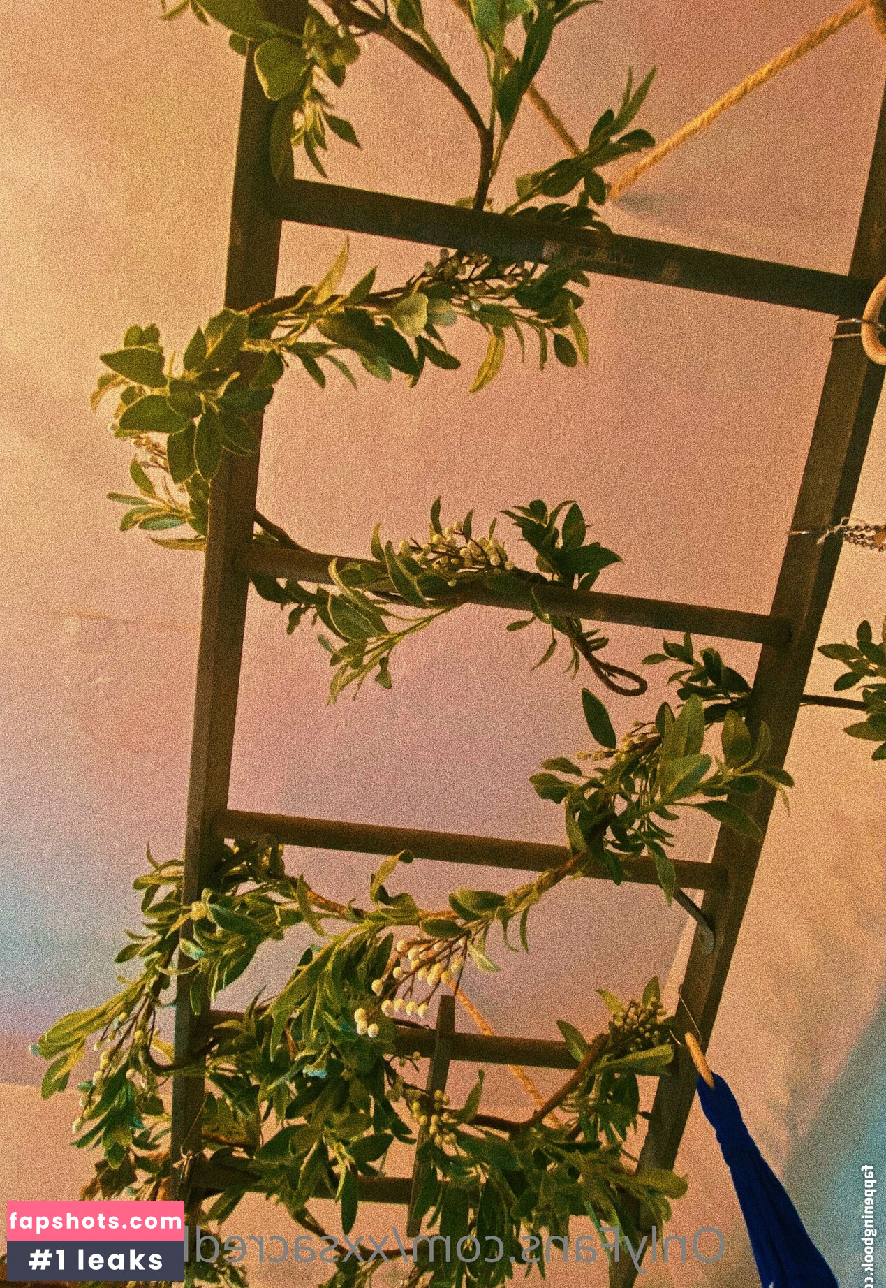 xxsacredhoneyxx gallery photo #14